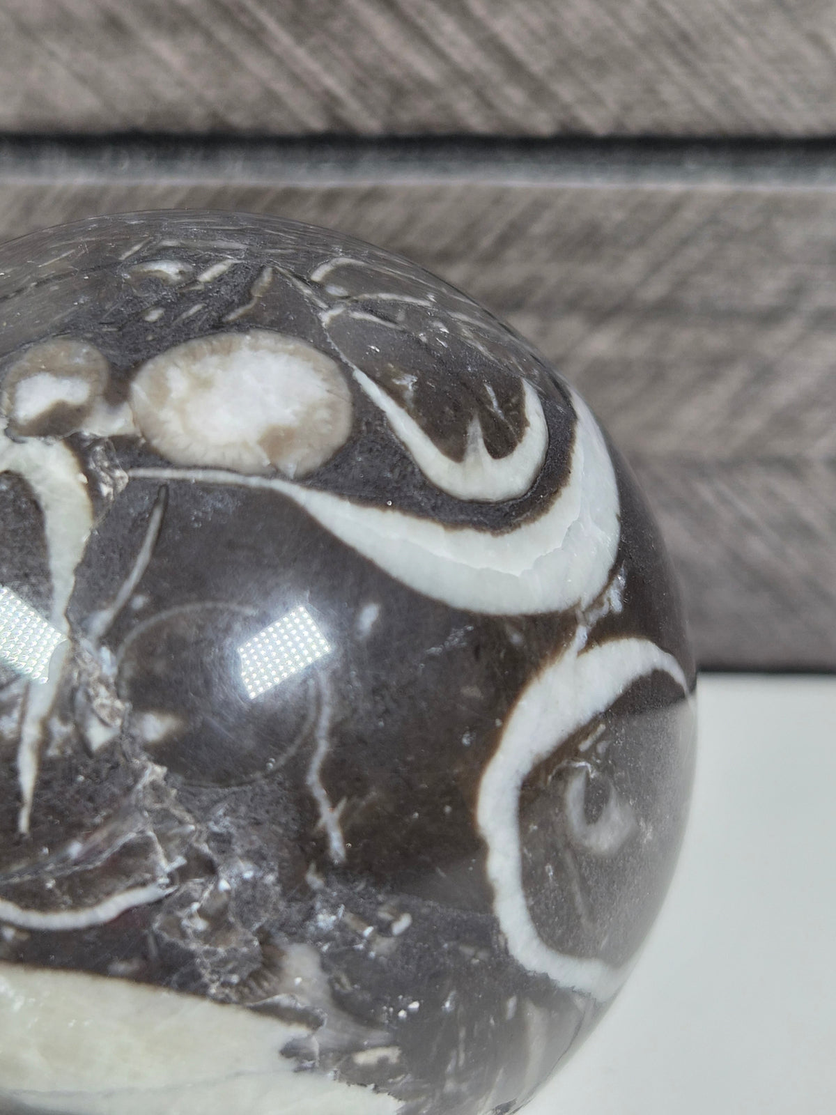 Sea Shell Jaspis bol 204 gram