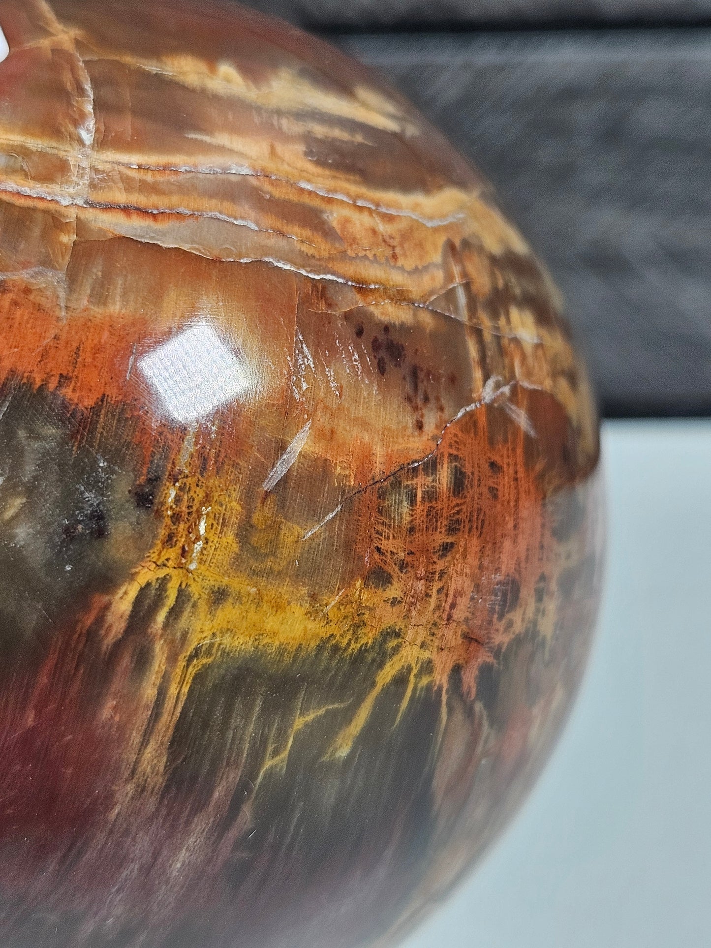 Versteend Hout bol 442 gram