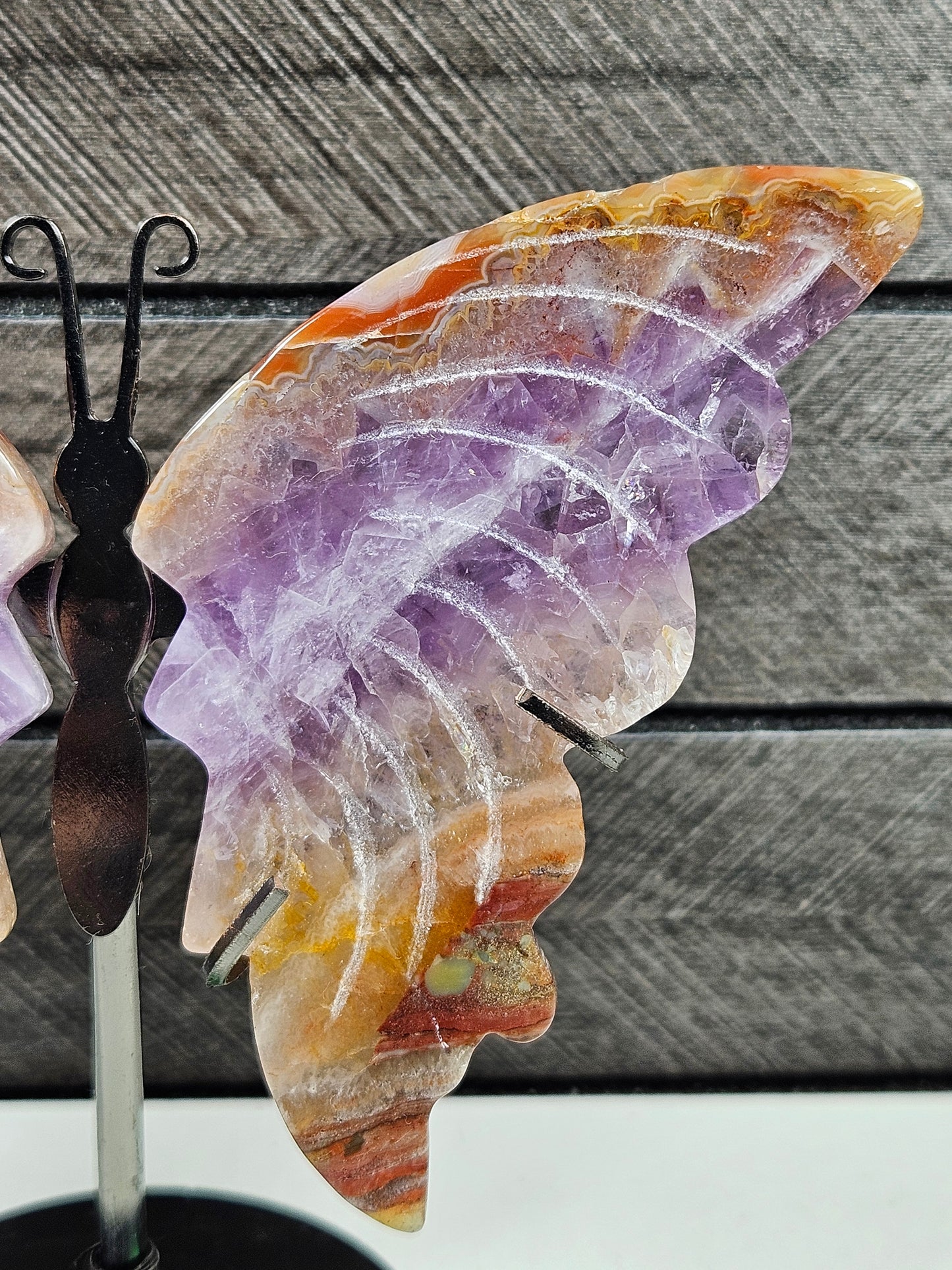 Amethist/Crazy Lace vlinder Q11