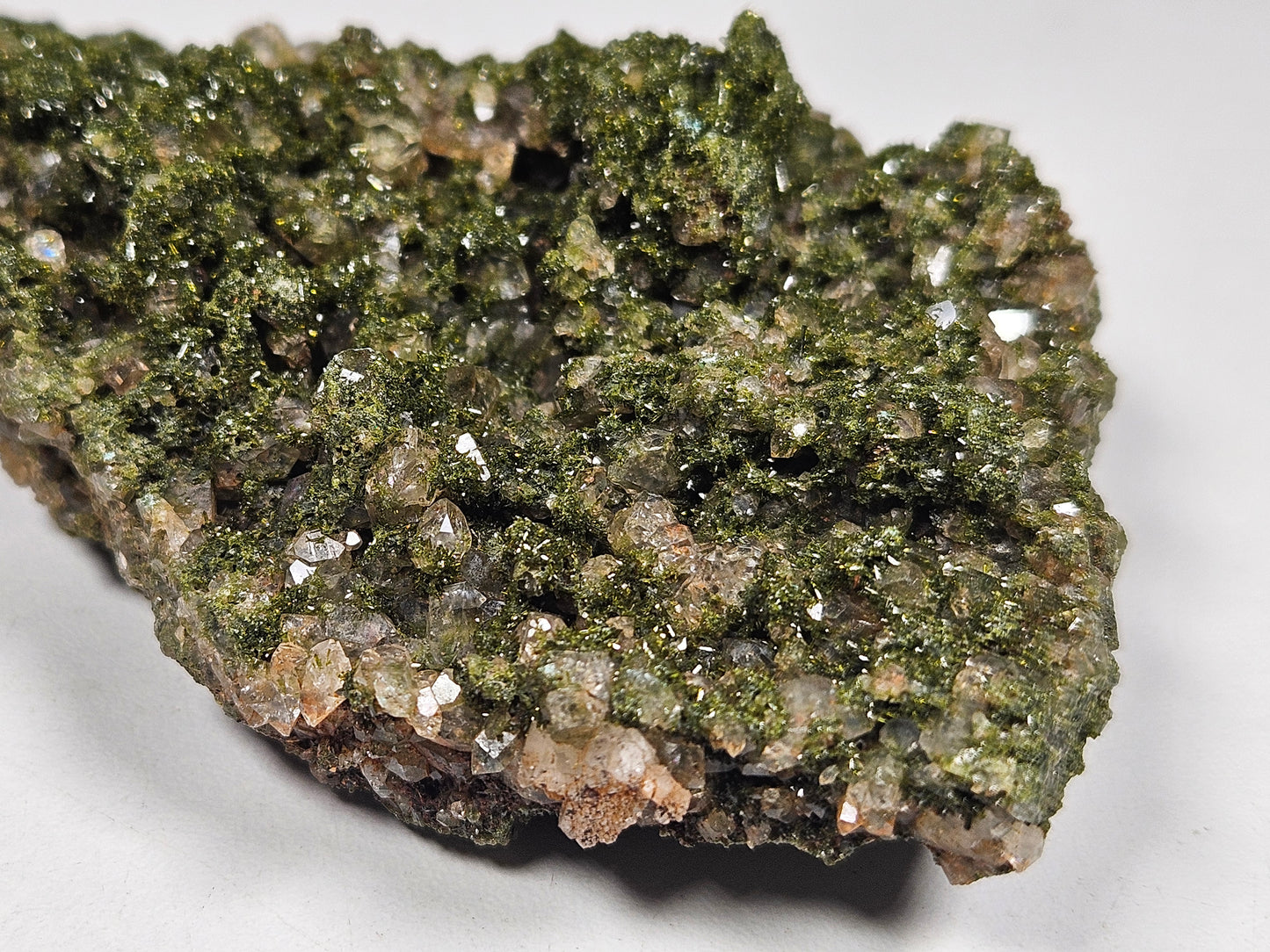 Forest Epidoot 130 gram