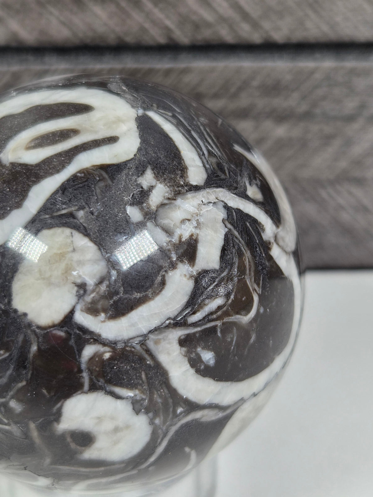 Sea Shell Jaspis bol 200 gram
