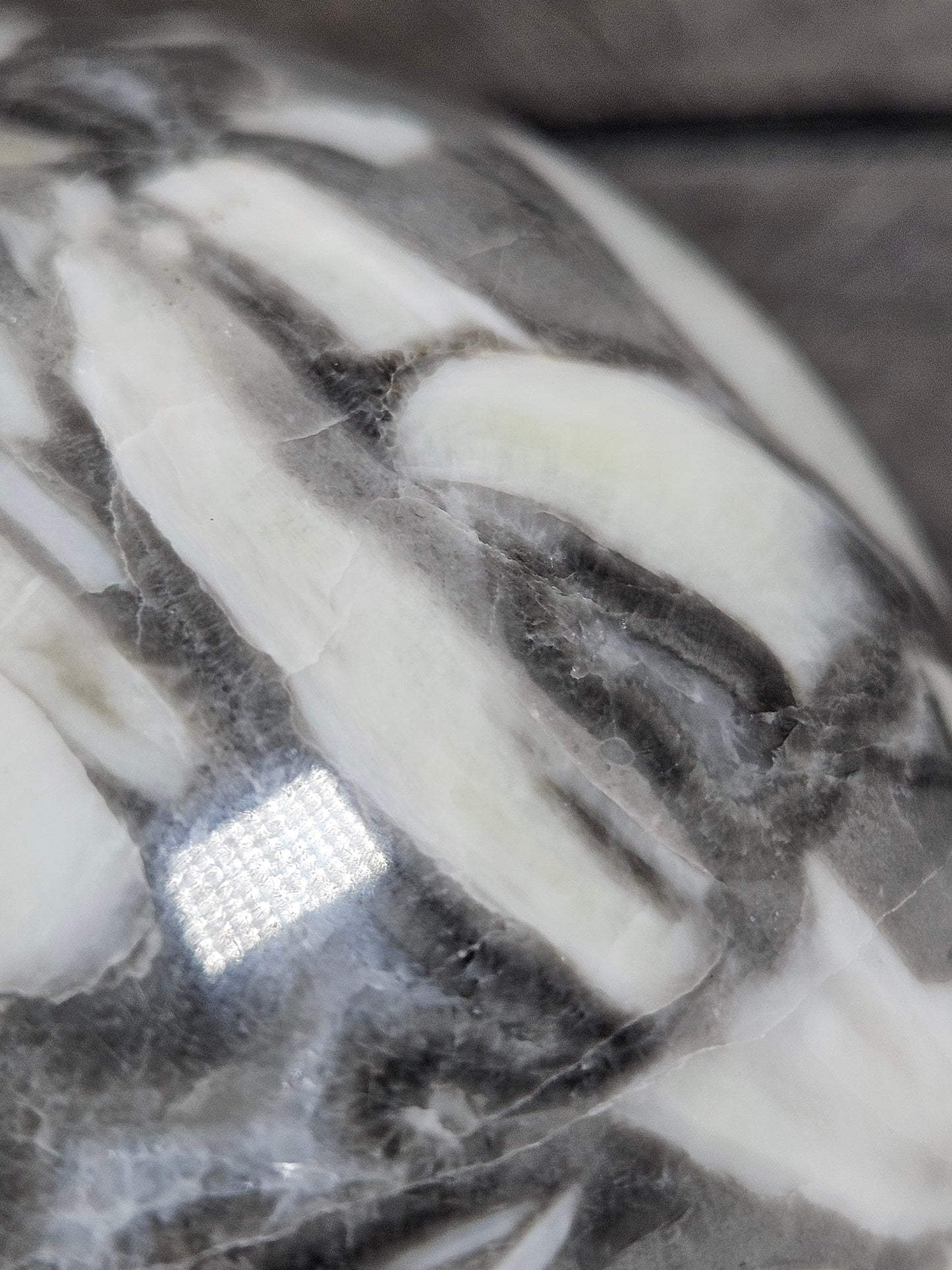 Sea Shell Jaspis bol 592 gram