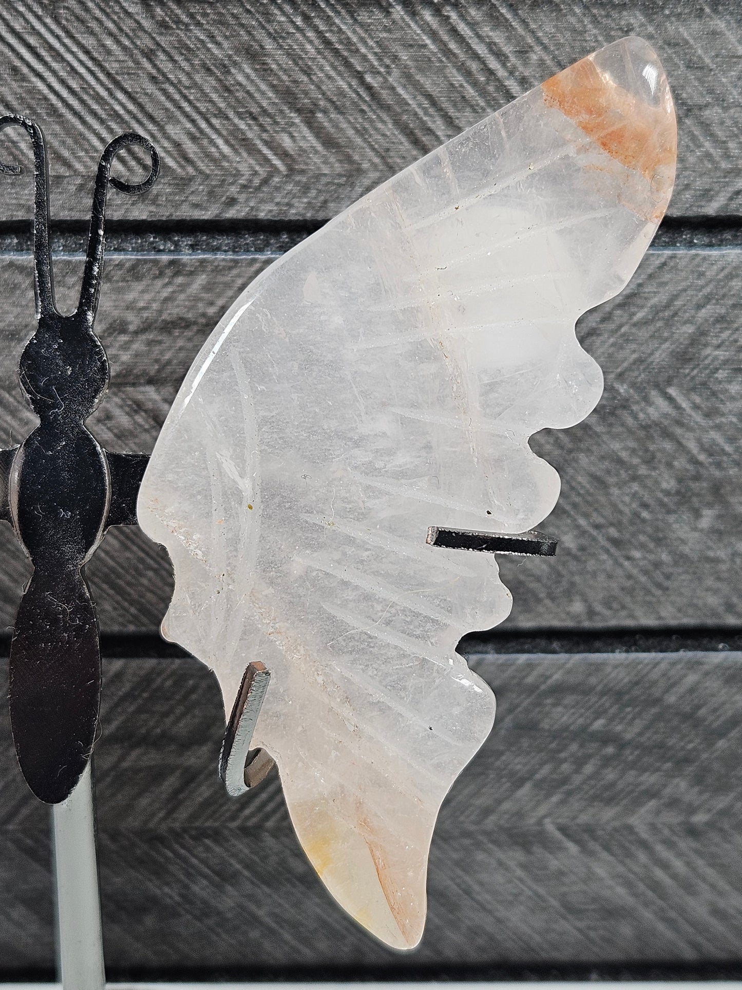 Vuurkwarts vlinder Q2