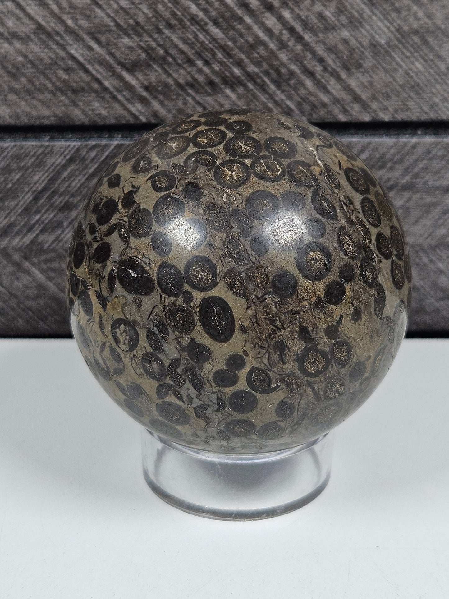 Leopard Skin Jasper bol 214 gram