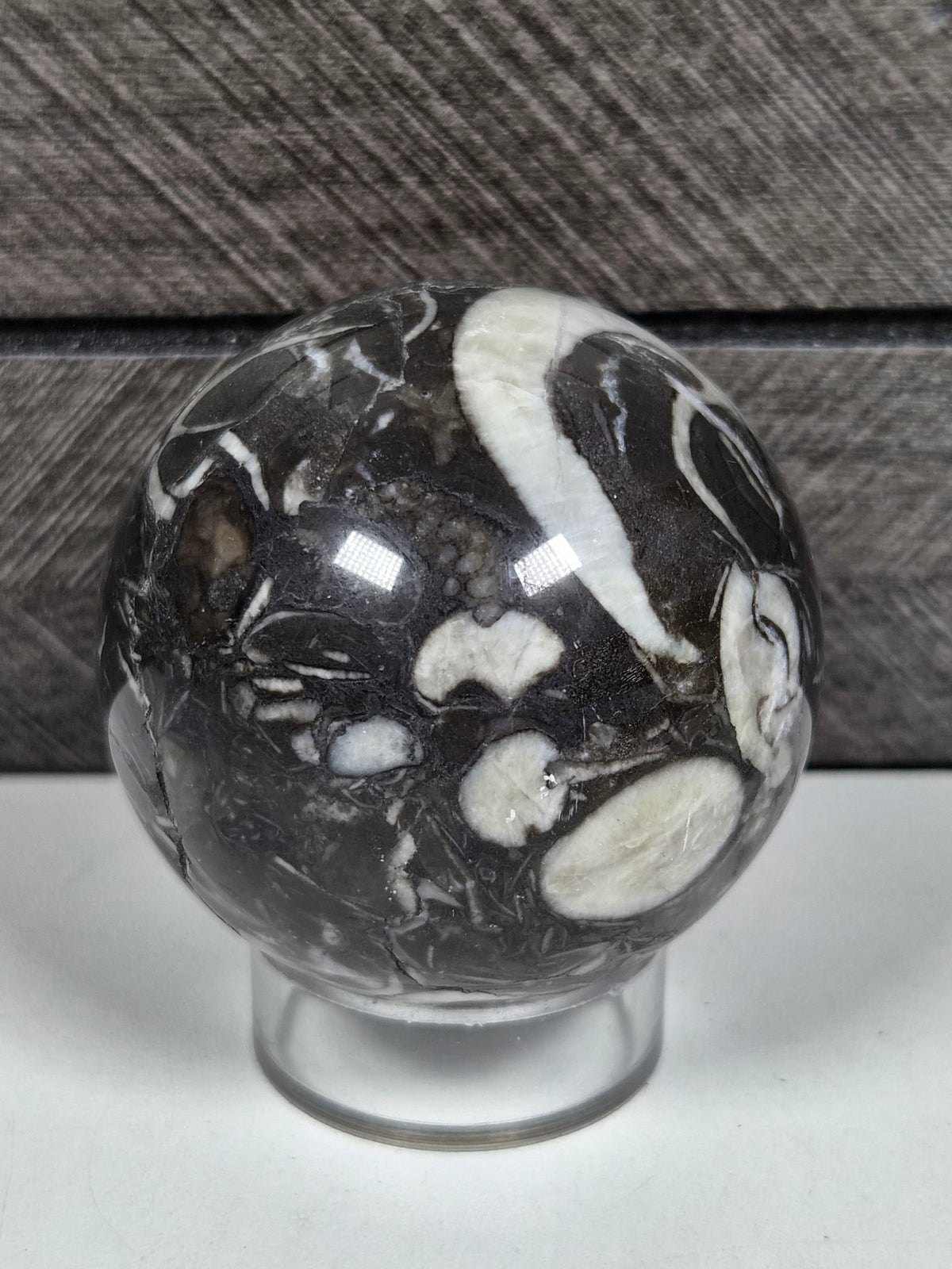 Sea Shell Jaspis bol 204 gram