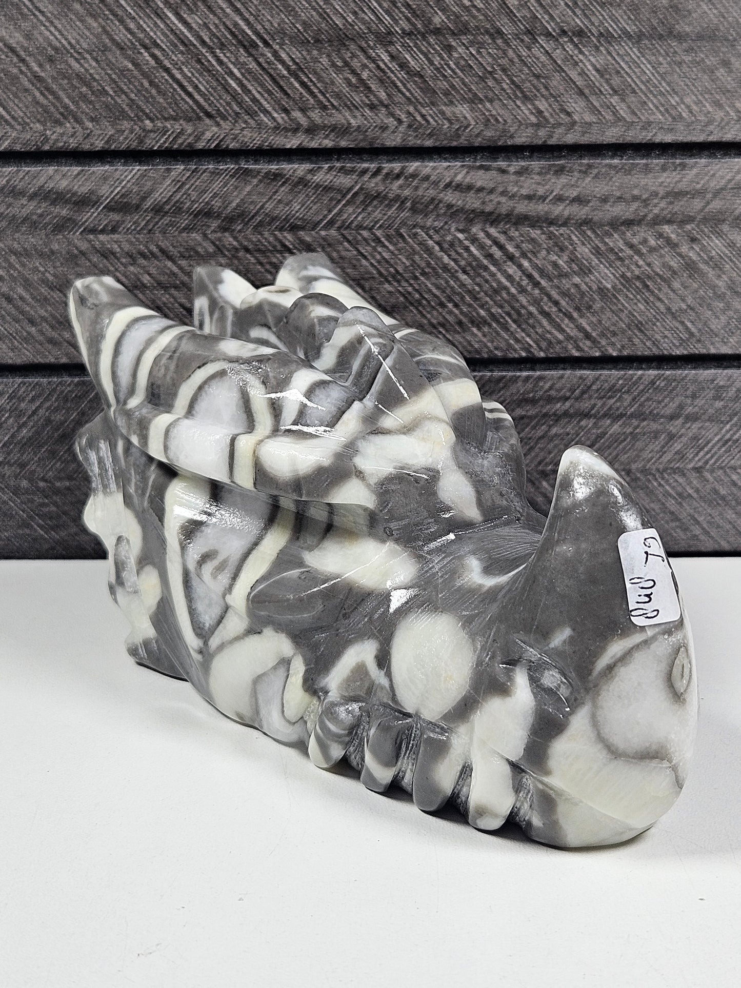 Sea Shell Jaspis Drakenkop 848 gram