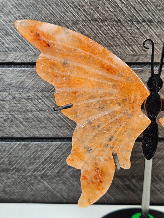 Vuurkwarts vlinder Q12