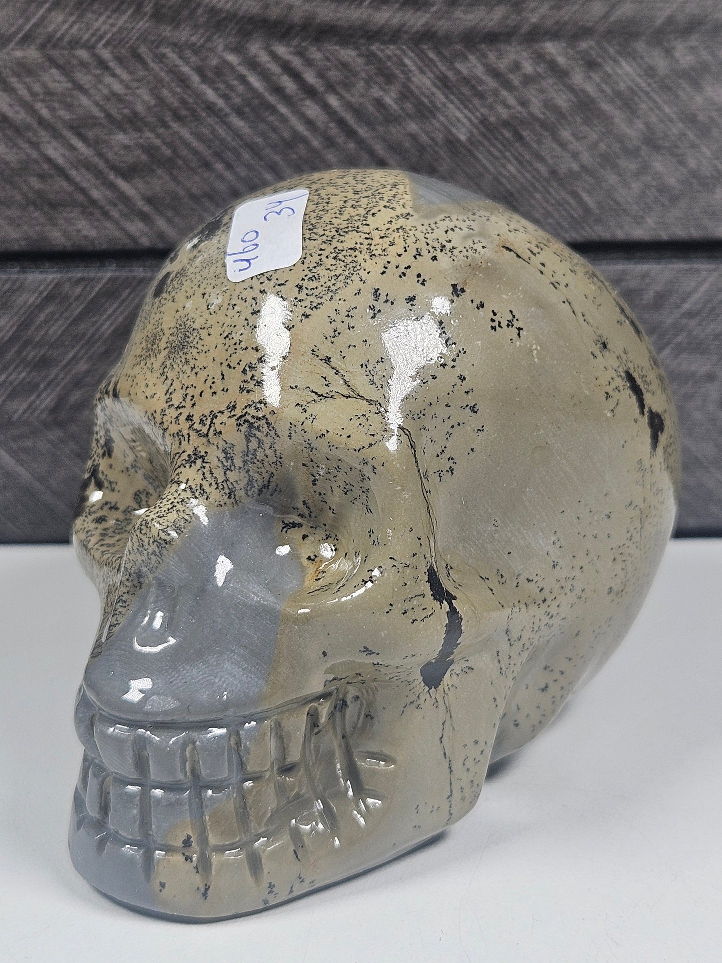 Landschap Jaspis Schedel 460 gram