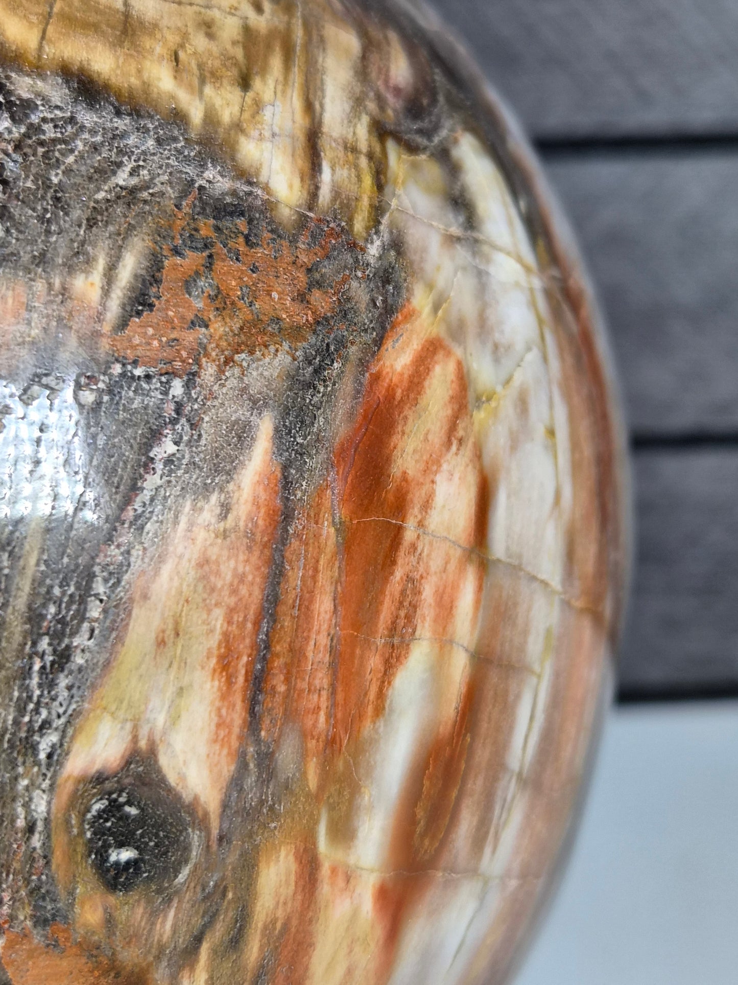 Versteend Hout bol 3934 gram