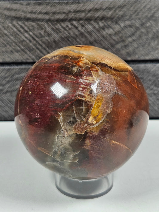 Versteend Hout bol 442 gram