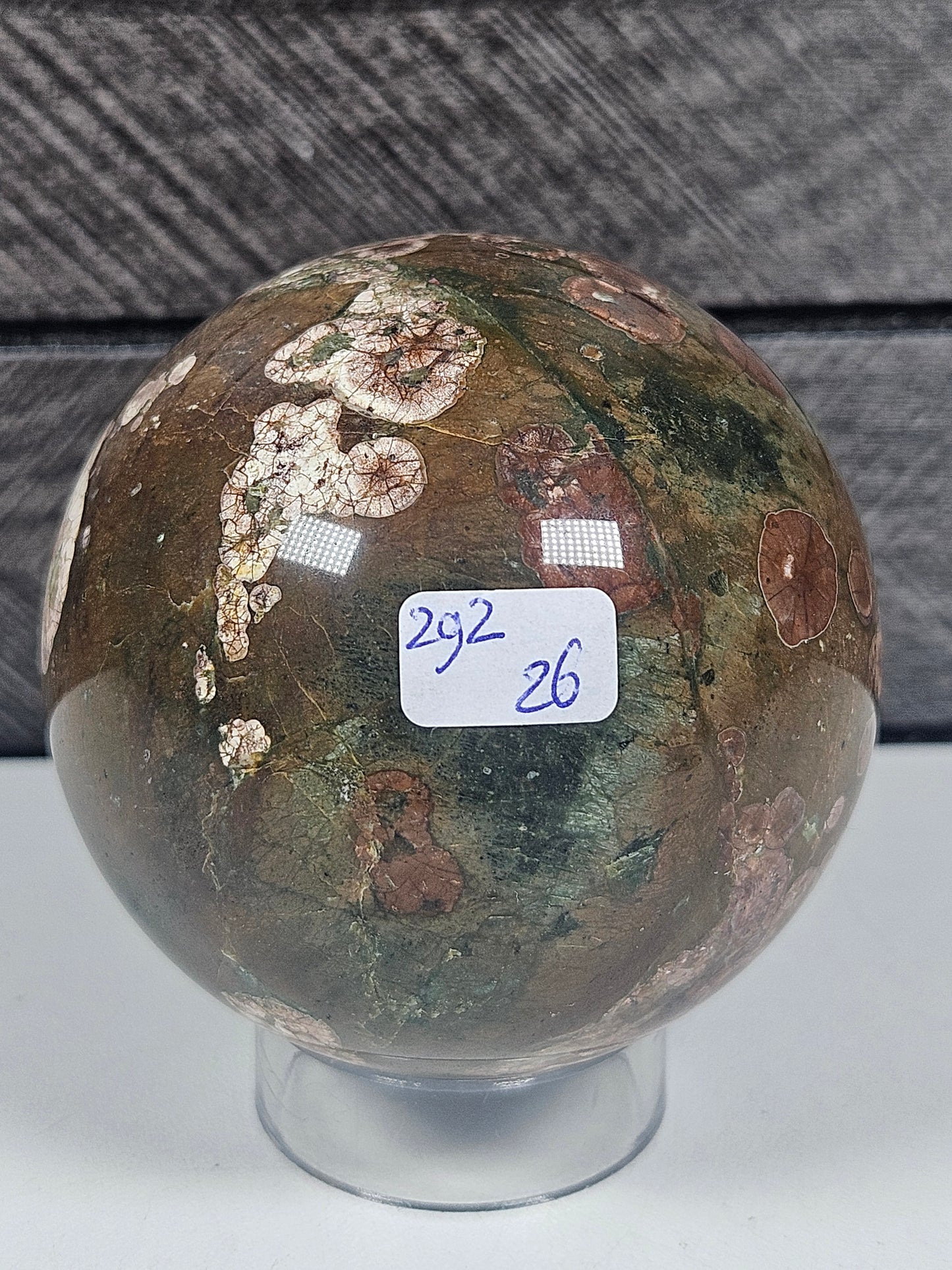 Regenwoud Jaspis 293 gram