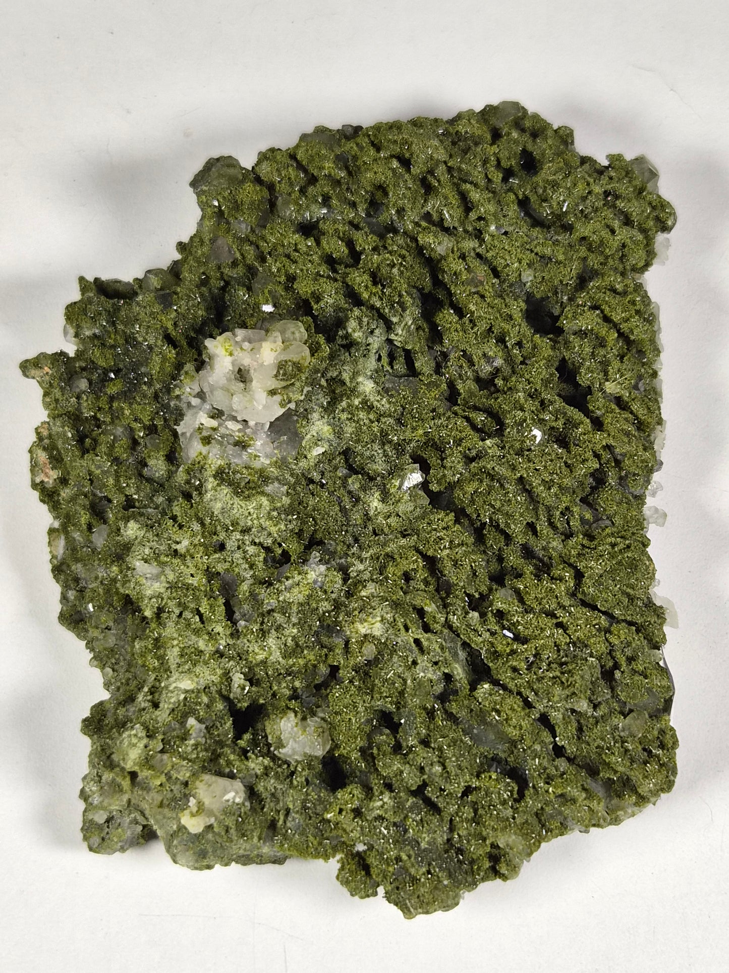Forest Epidoot ruw 404 gram