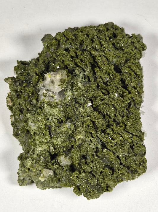 Forest Epidoot ruw 404 gram