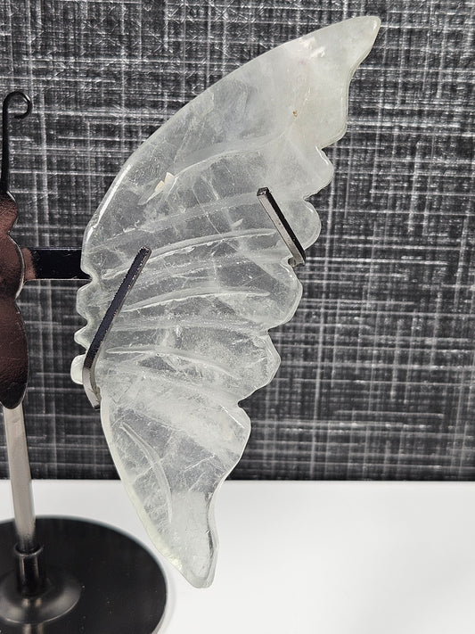 Fluoriet vleugels A7