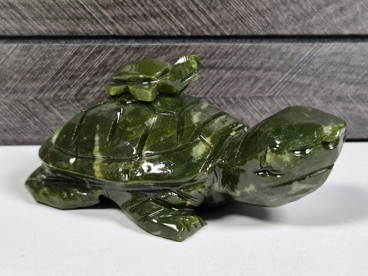 Groene Jade Schilpad Ouder en Kind
