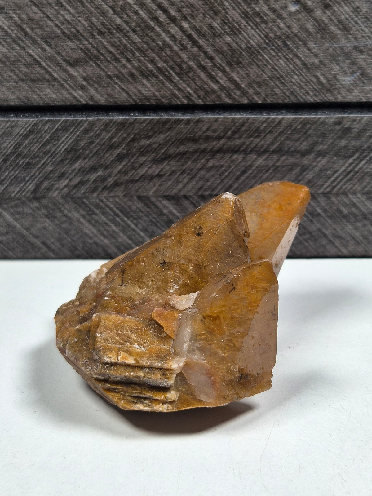 Amber Calciet met Dendriet 114 gram