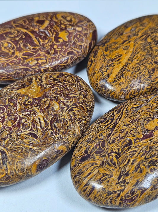 Slangen Jaspis palmsteen