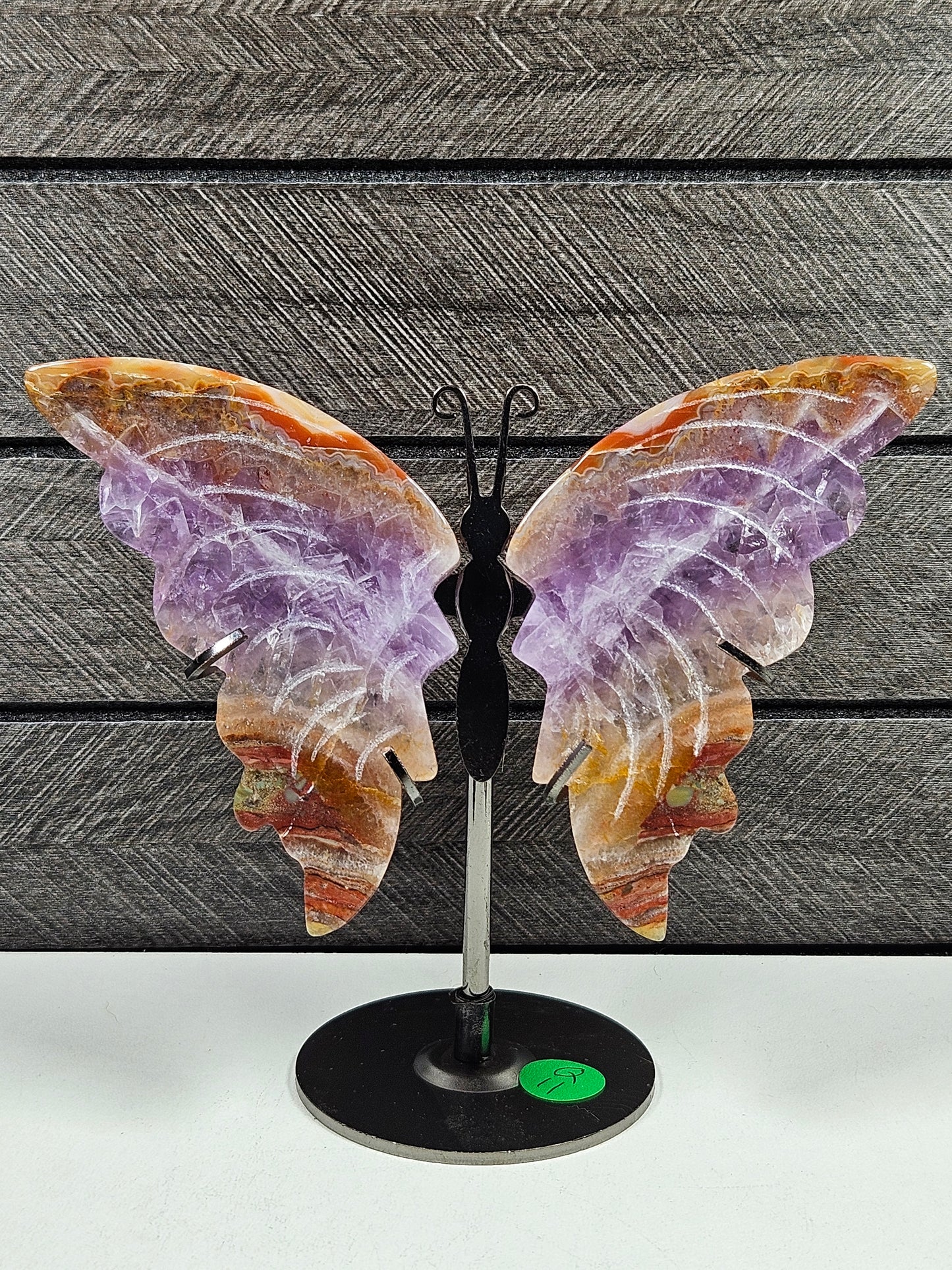 Amethist/Crazy Lace vlinder Q11