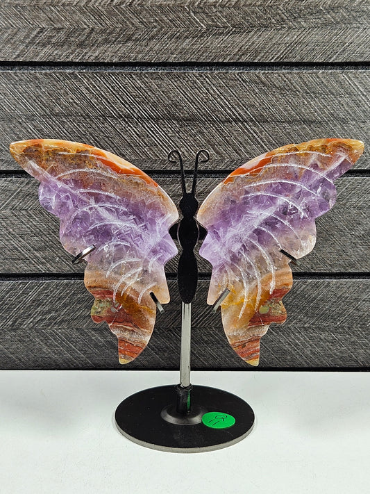 Amethist/Crazy Lace vlinder Q11