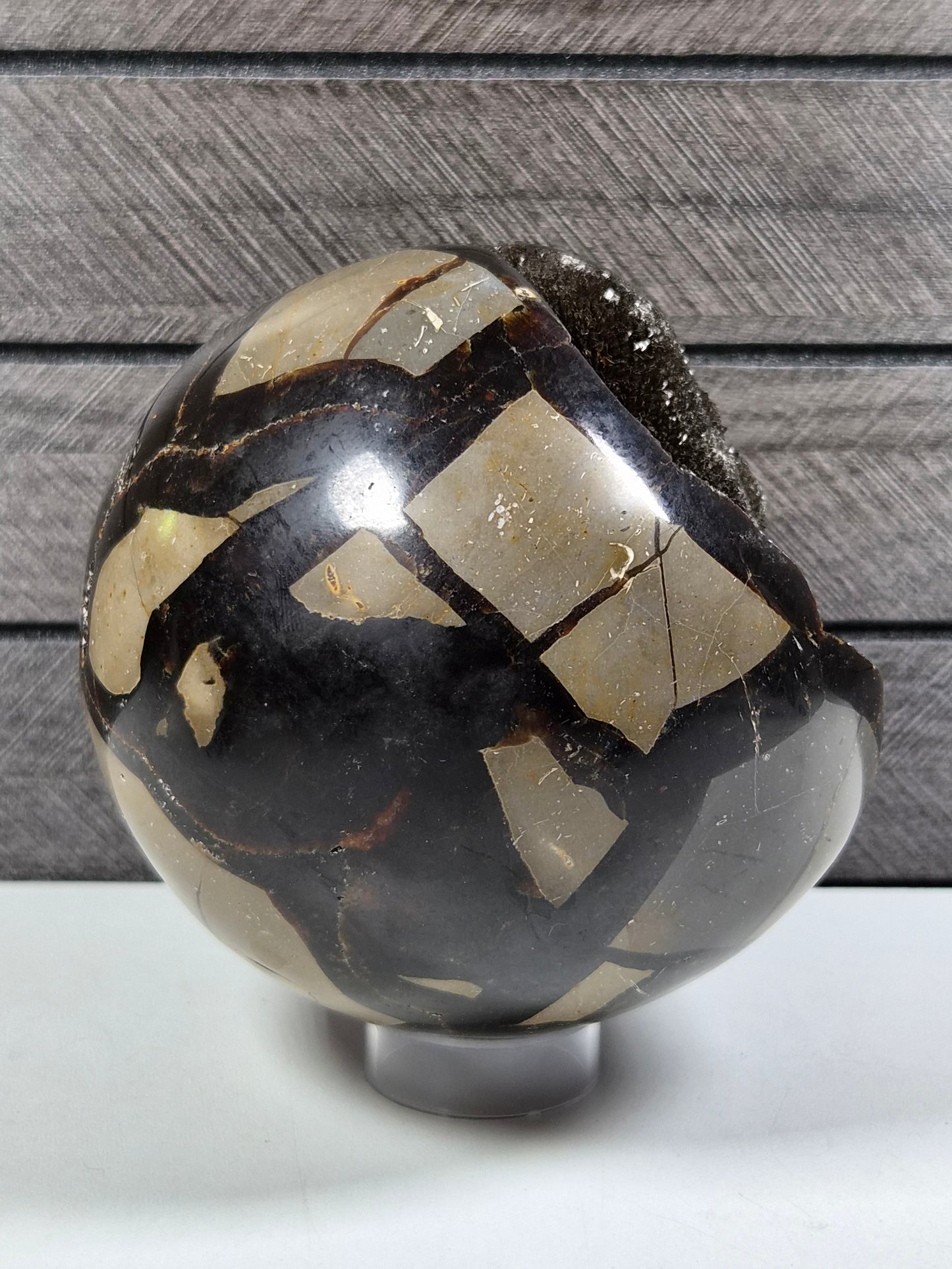 Septarie bol 1340 gram