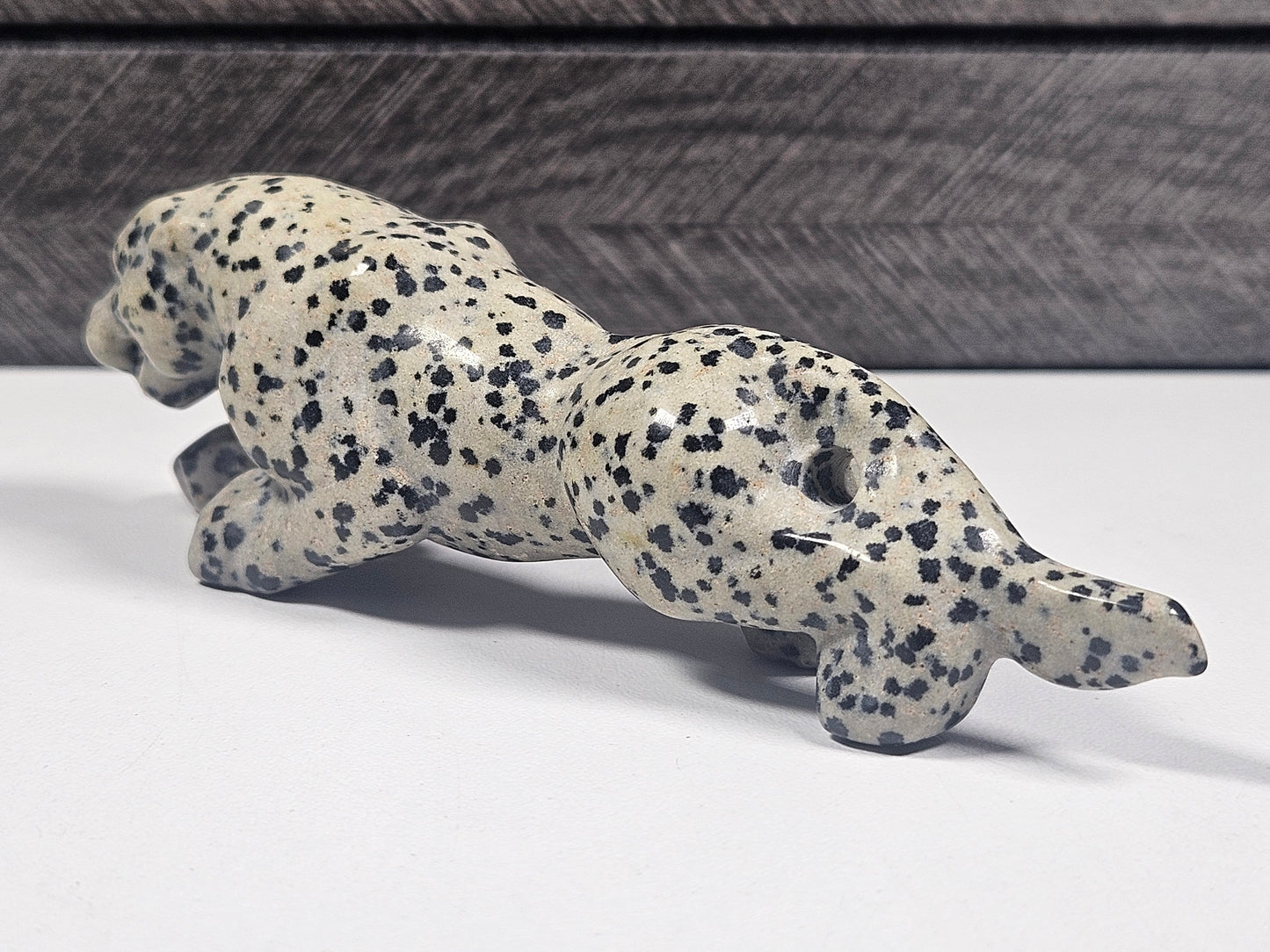 Dalmatier Jaspis Luipaard