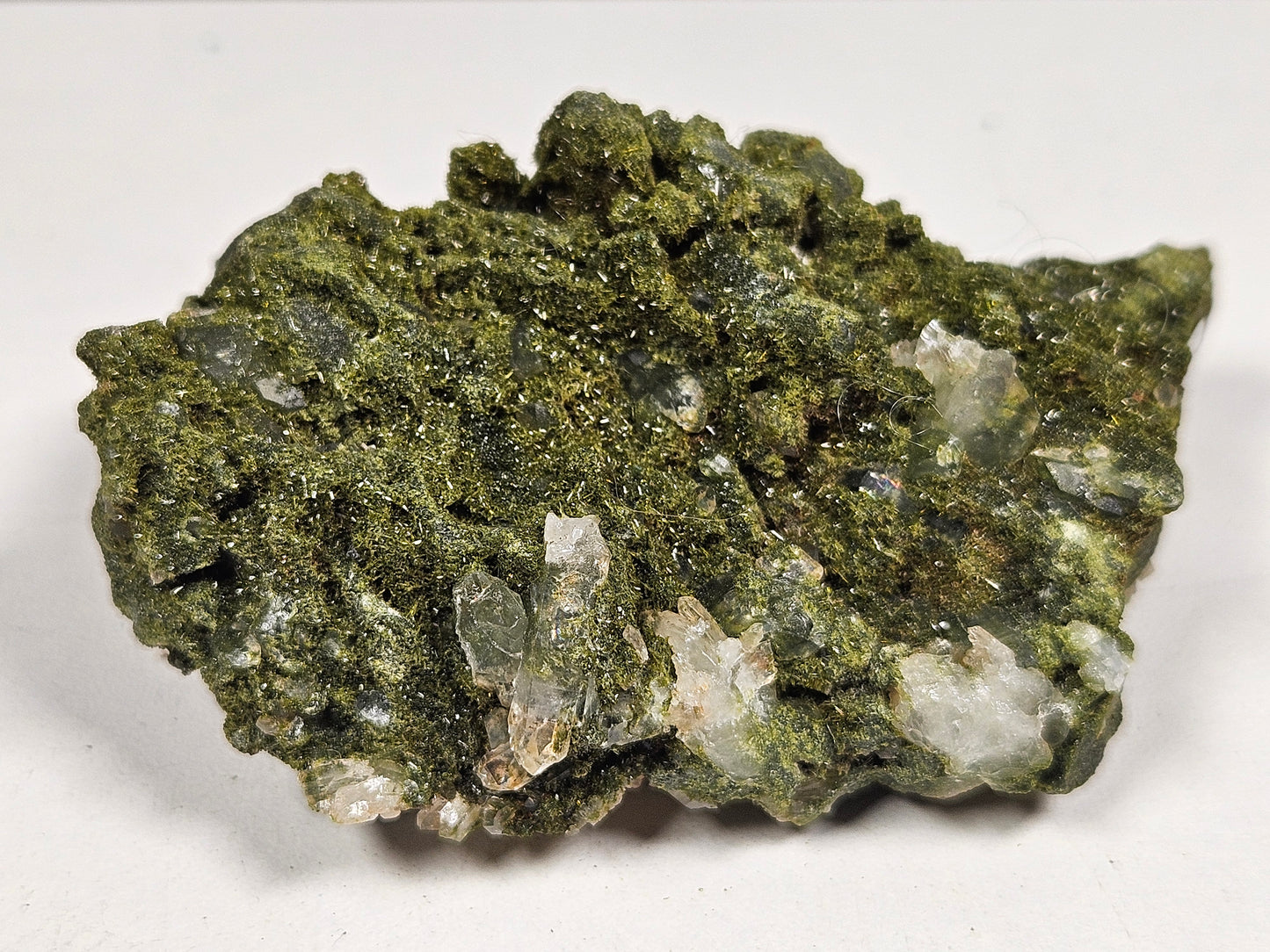 Forest Epidoot 106 gram