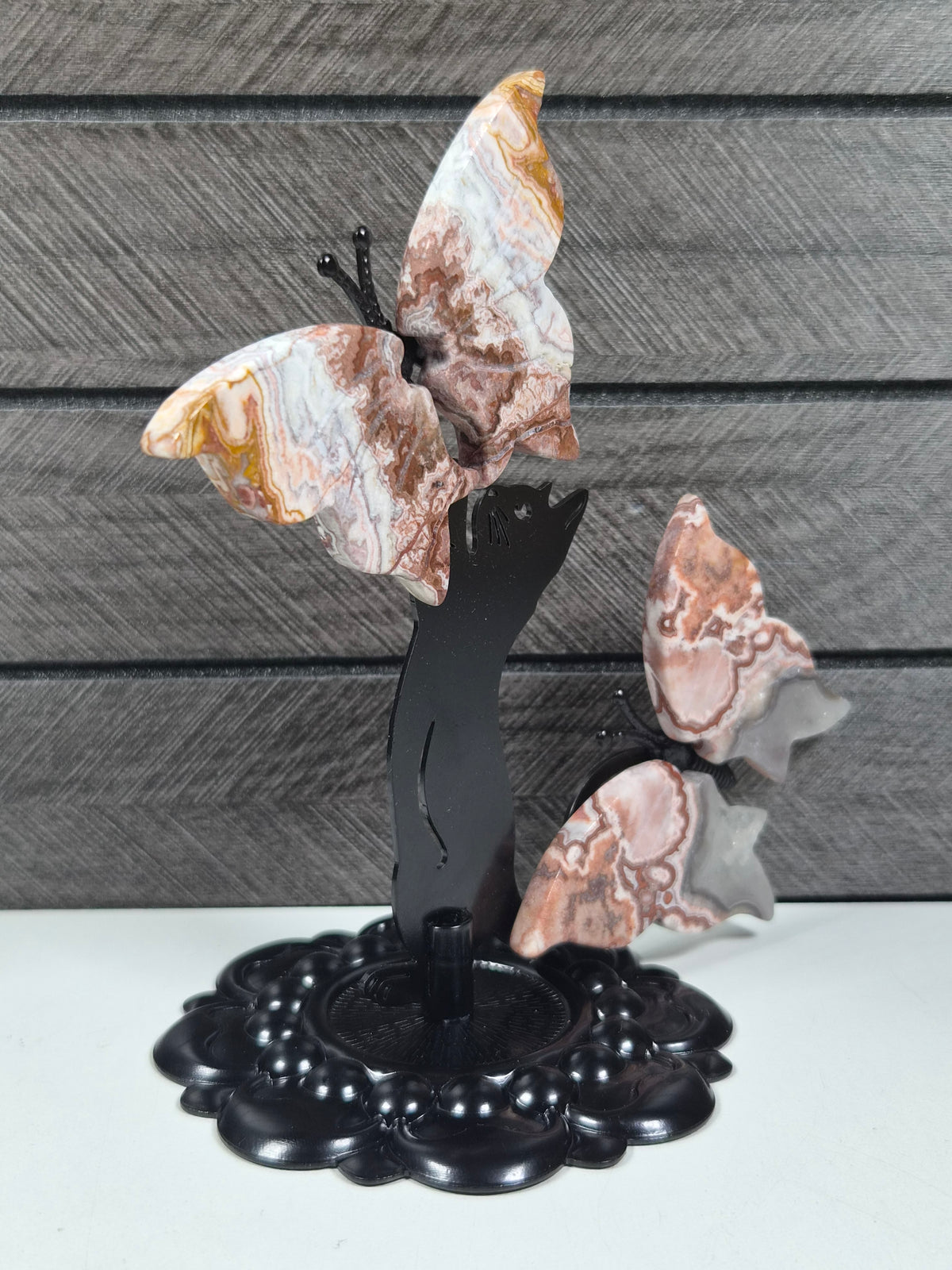 Crazy lace Vlinders met Kat