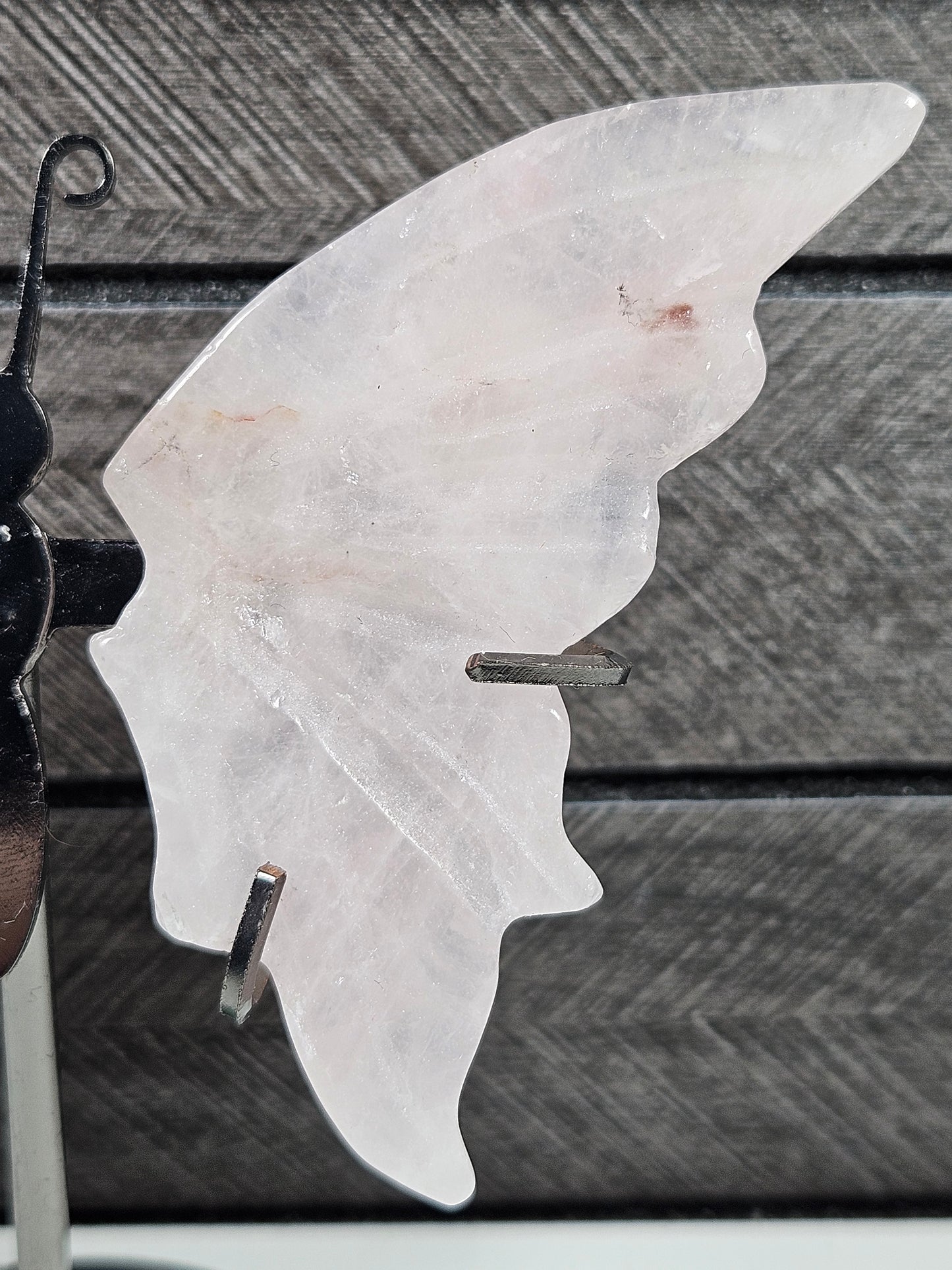 Rozenkwarts vlinder Q10