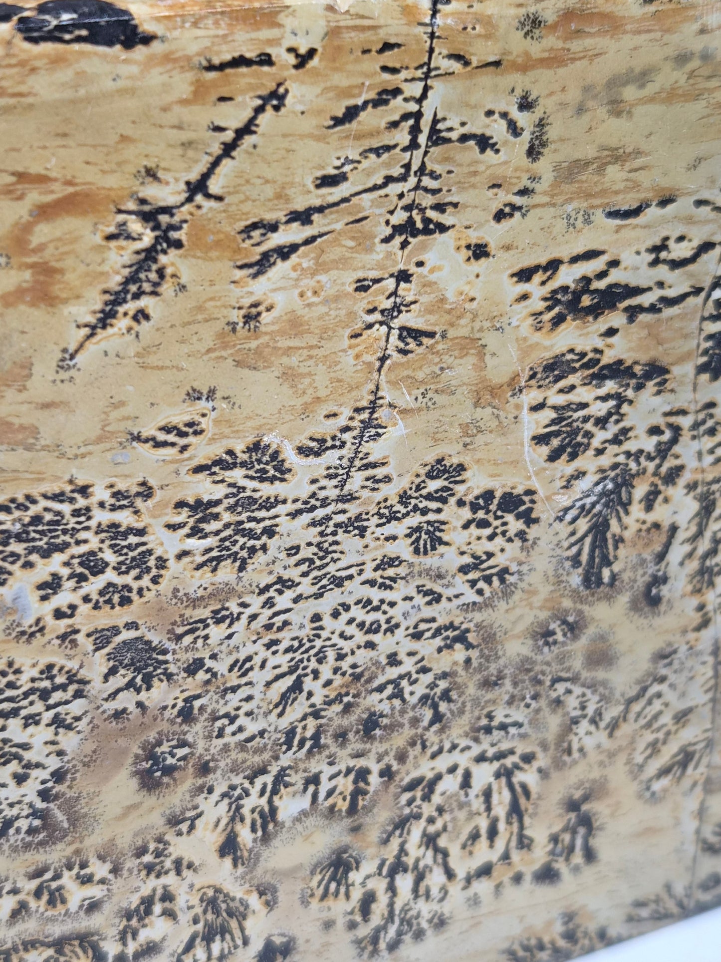Landschap Jaspis Slab 854 gram