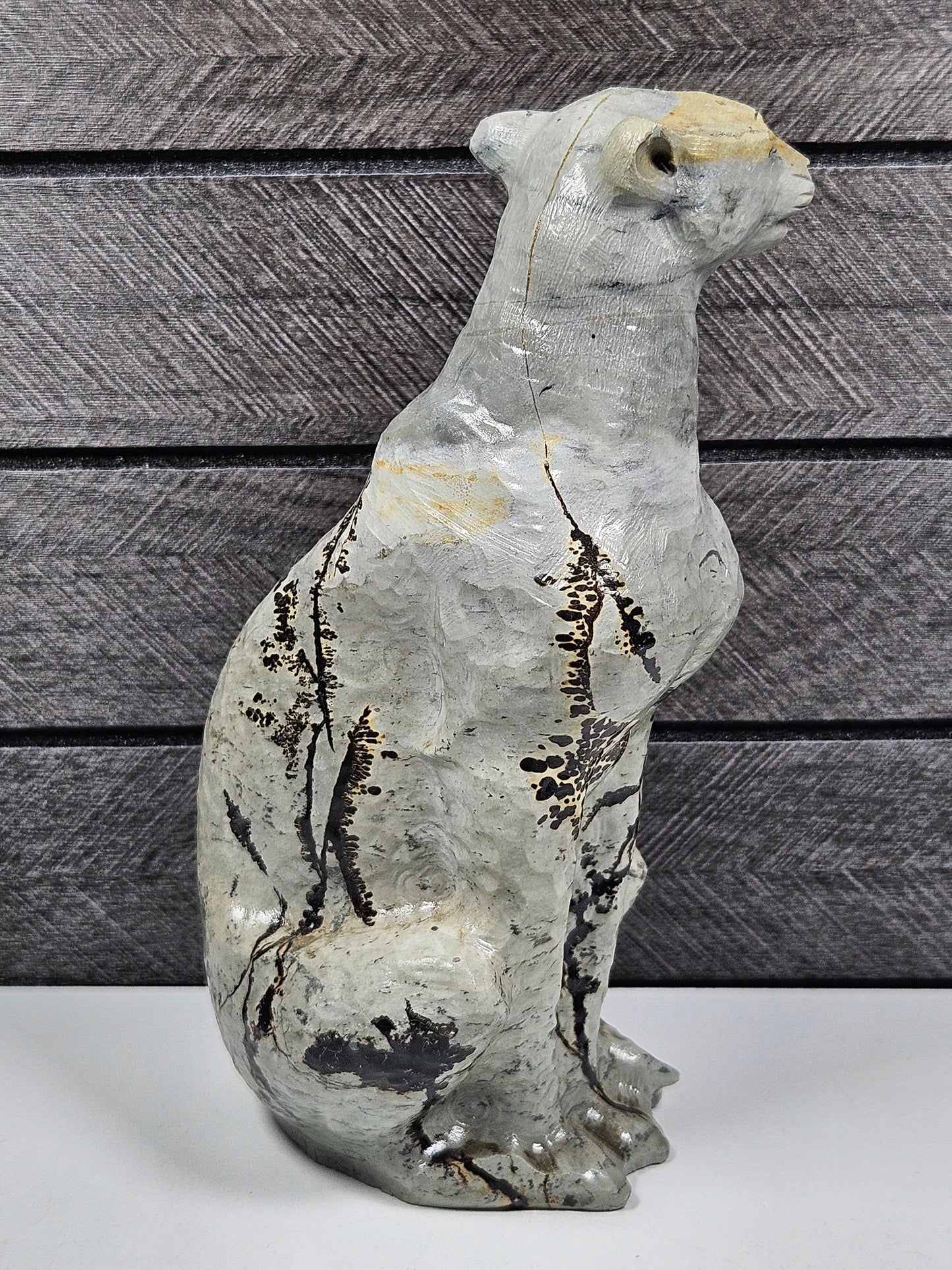 Landschap Jaspis luipaard 598 gram