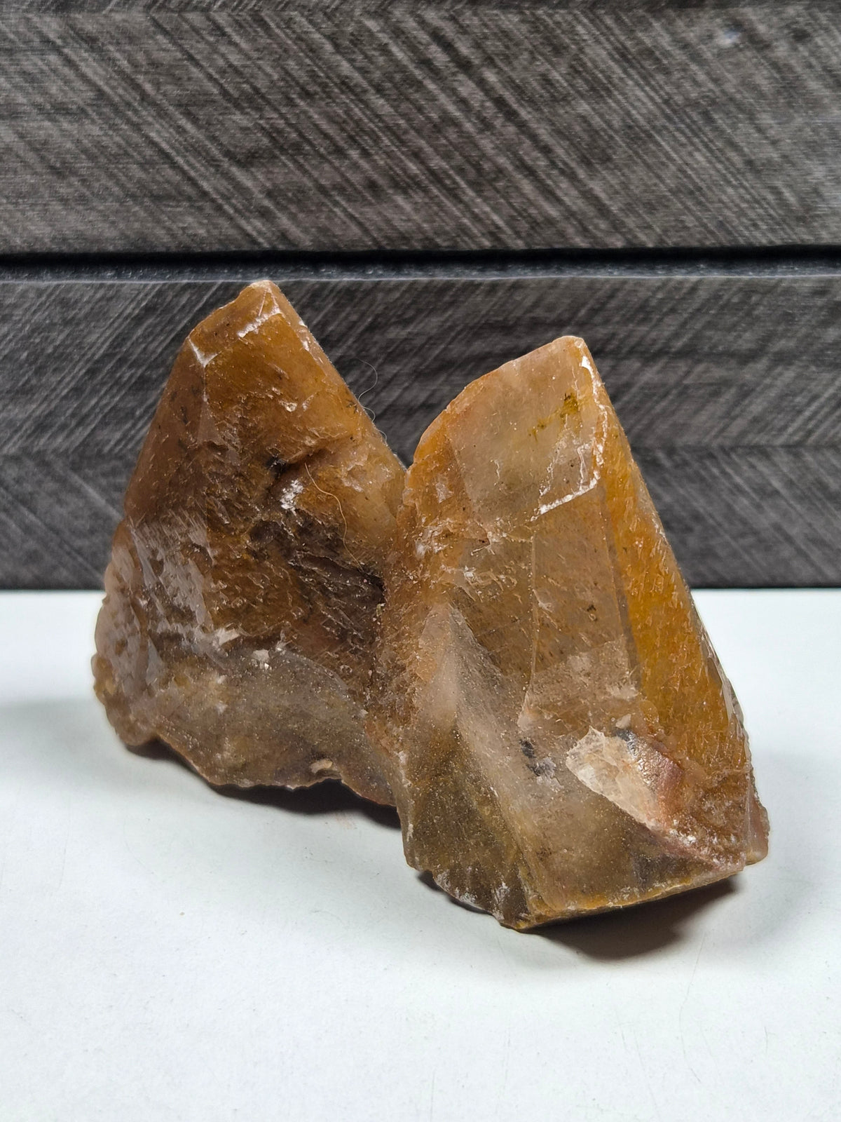 Amber Calciet met Dendriet 160 gram