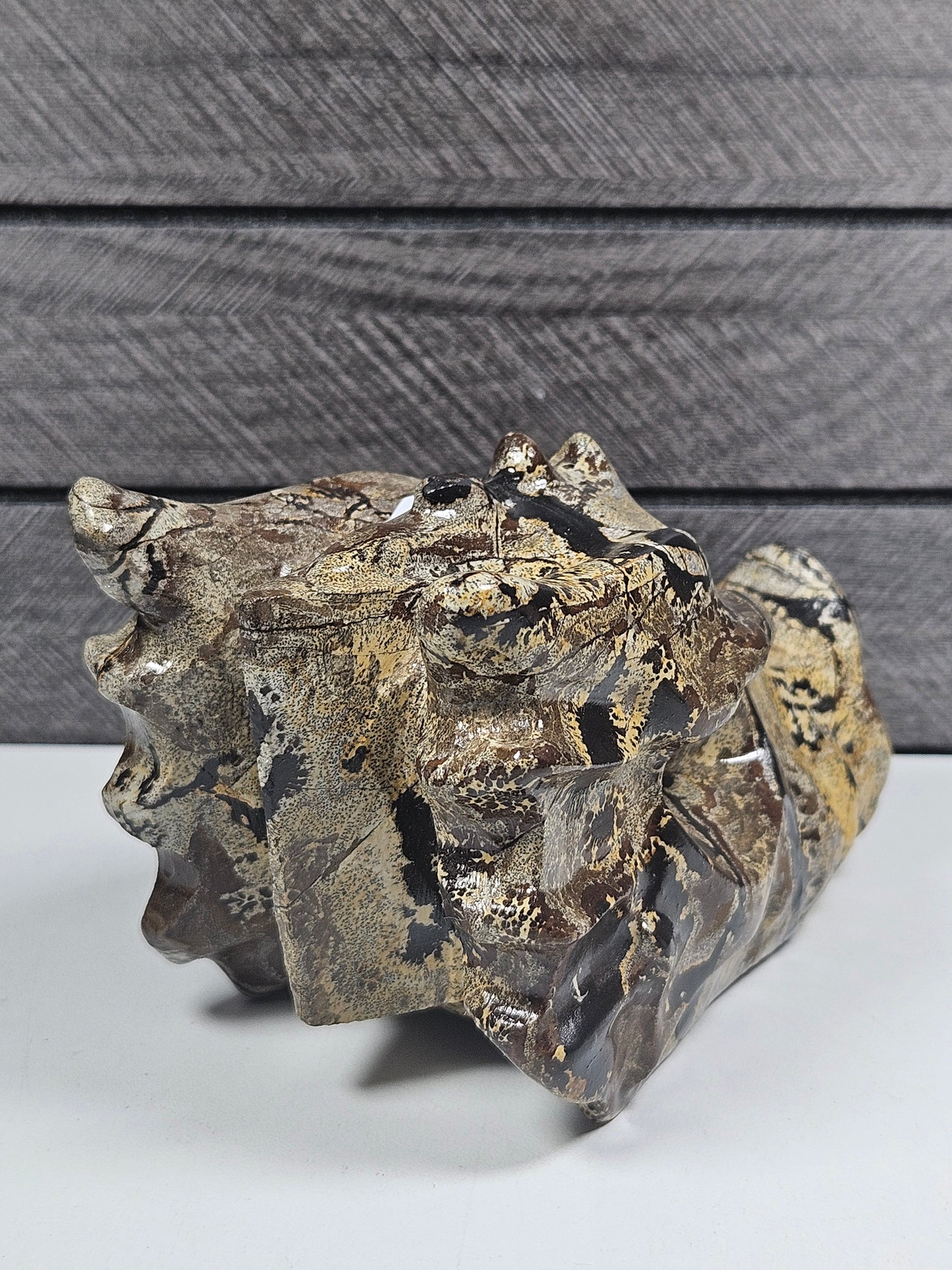 Landschap Jaspis Drakenkop 640 gram