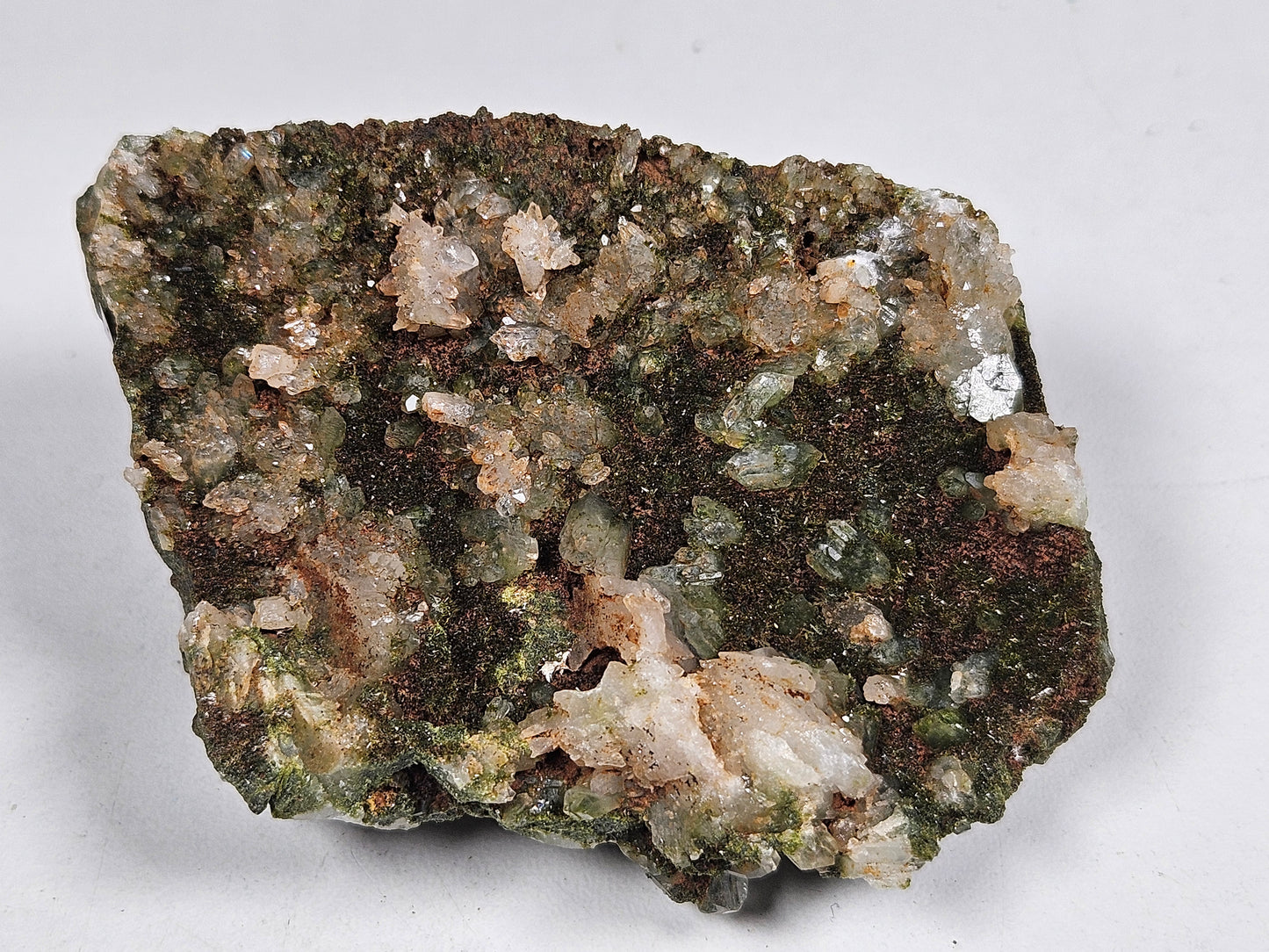 Forest Epidoot 106 gram