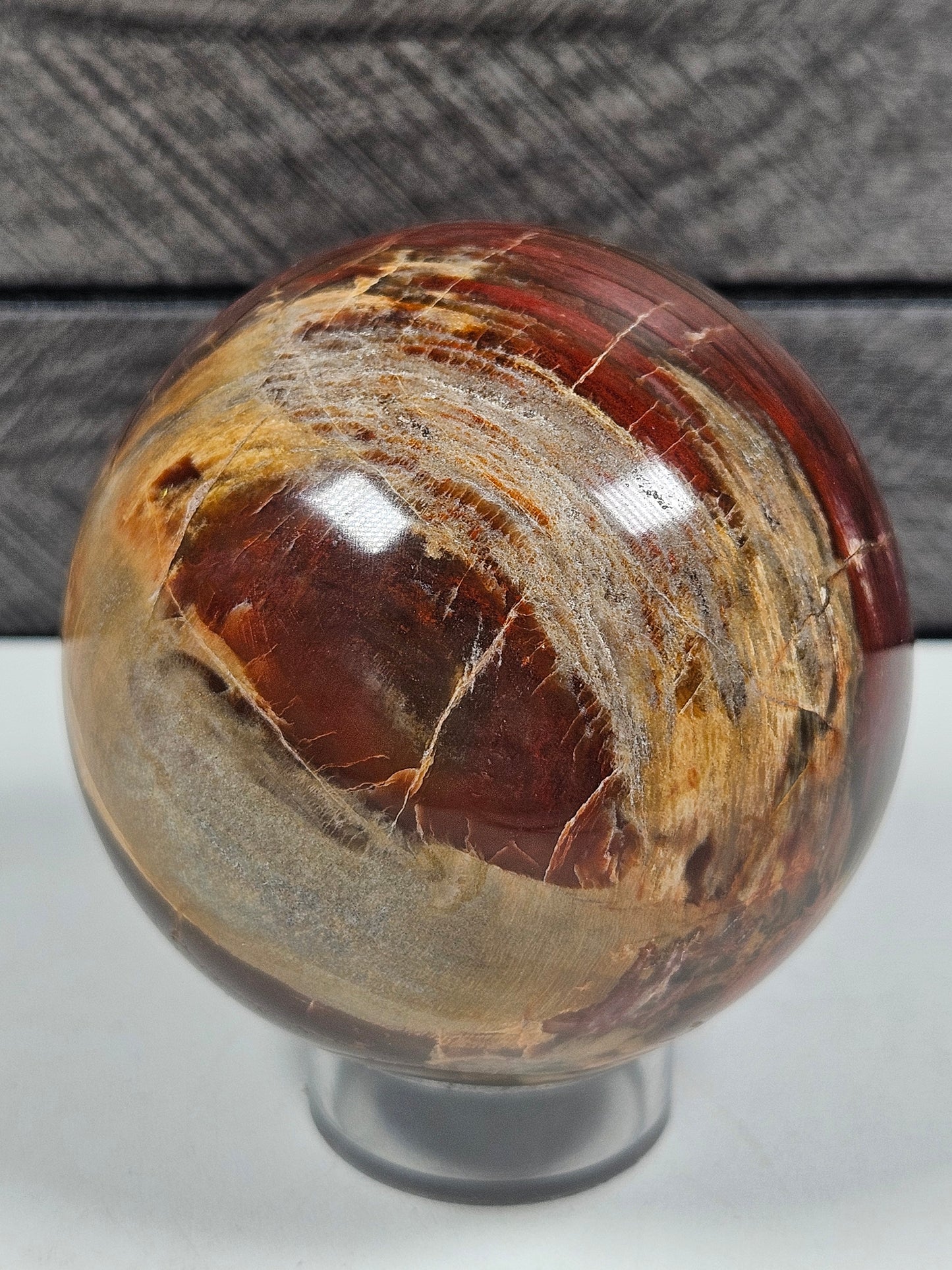 Versteend Hout bol 442 gram