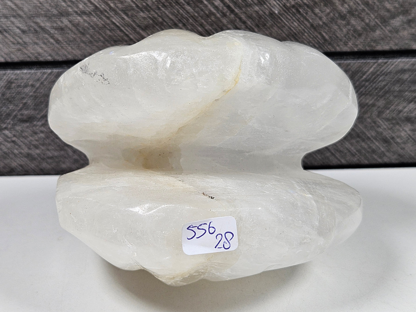 Bergkristal Schelp 556 gram
