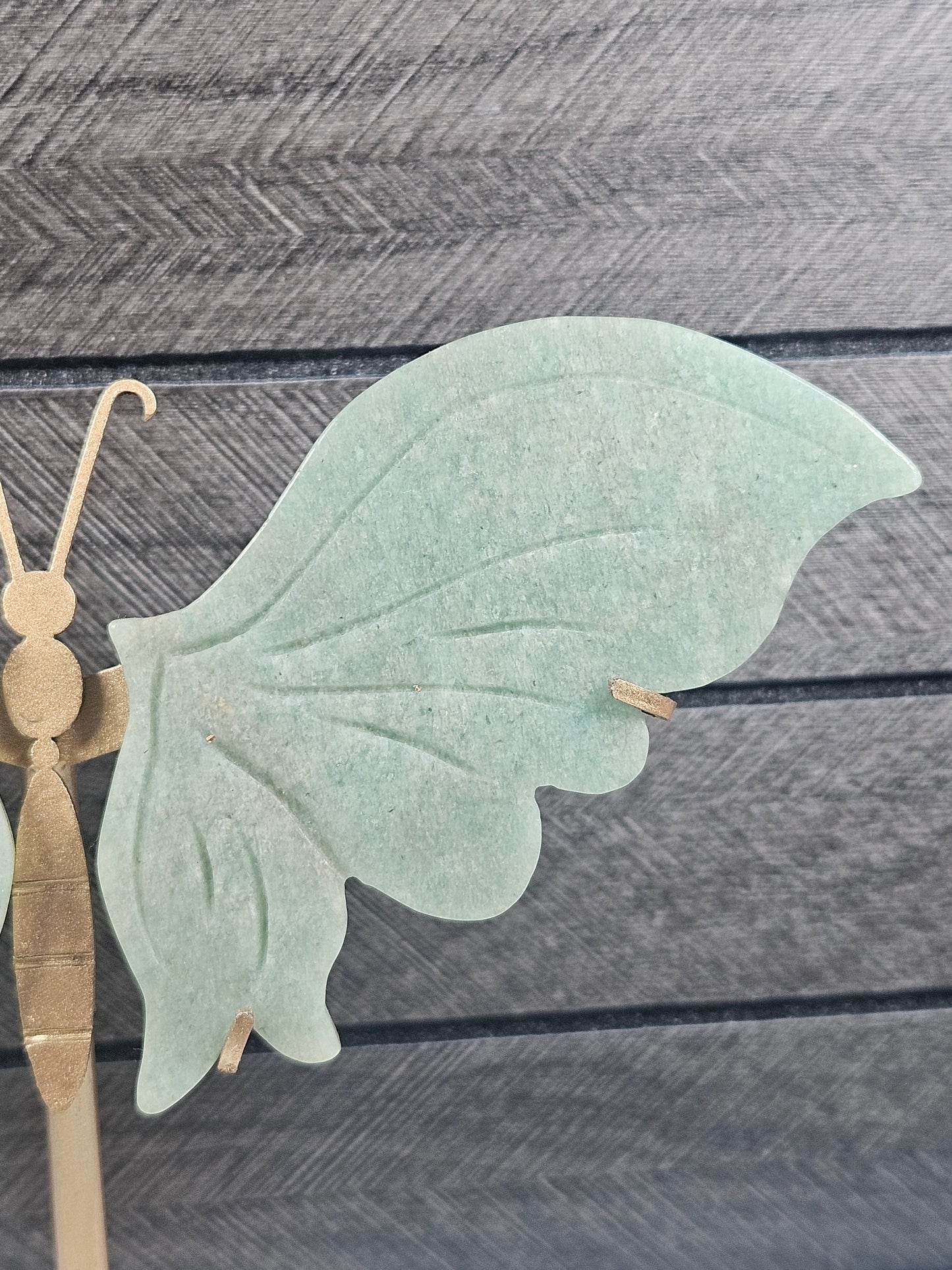 Amazoniet Vlinder C73