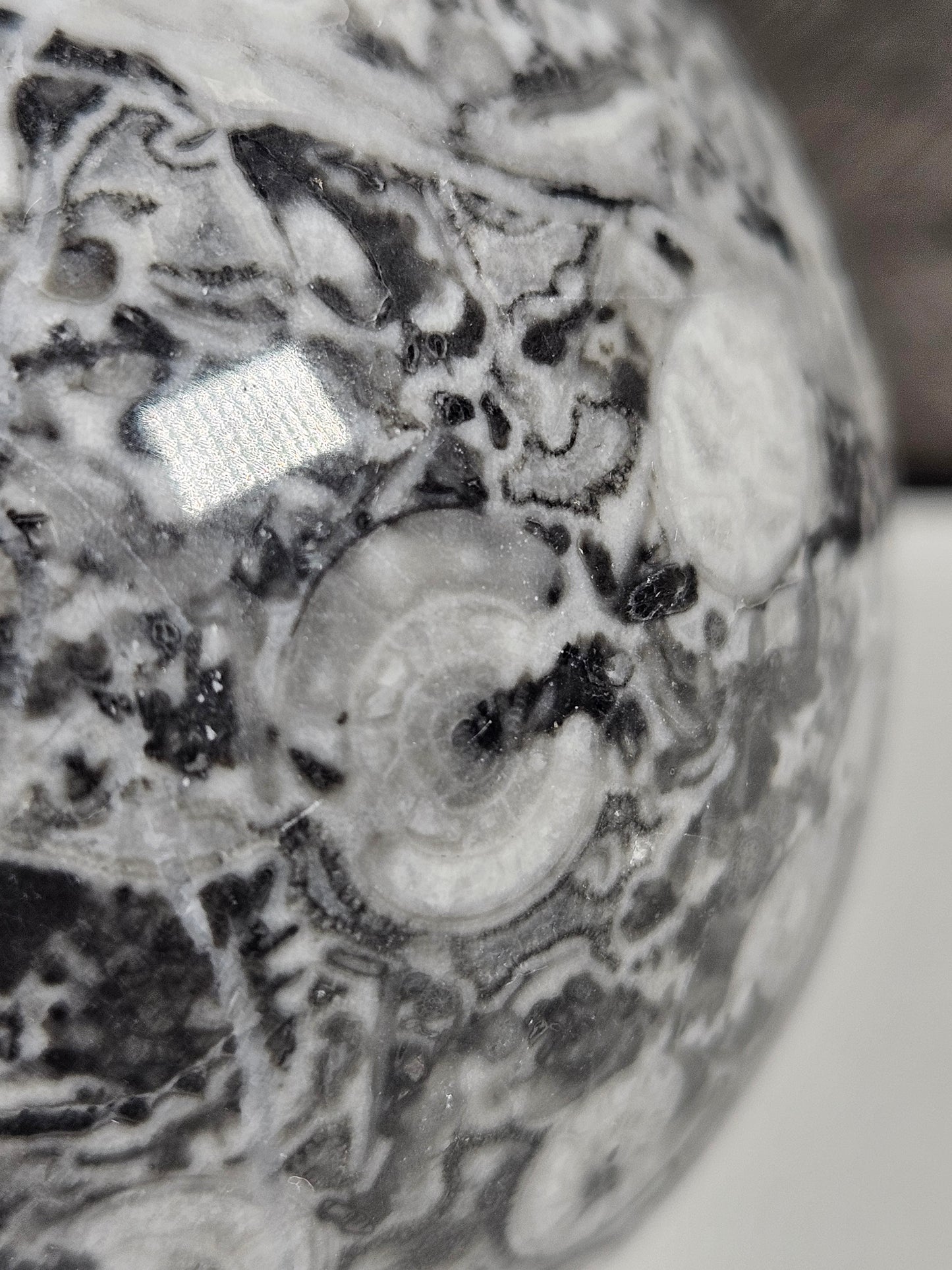 Fossiel Jaspis bol 396 gram