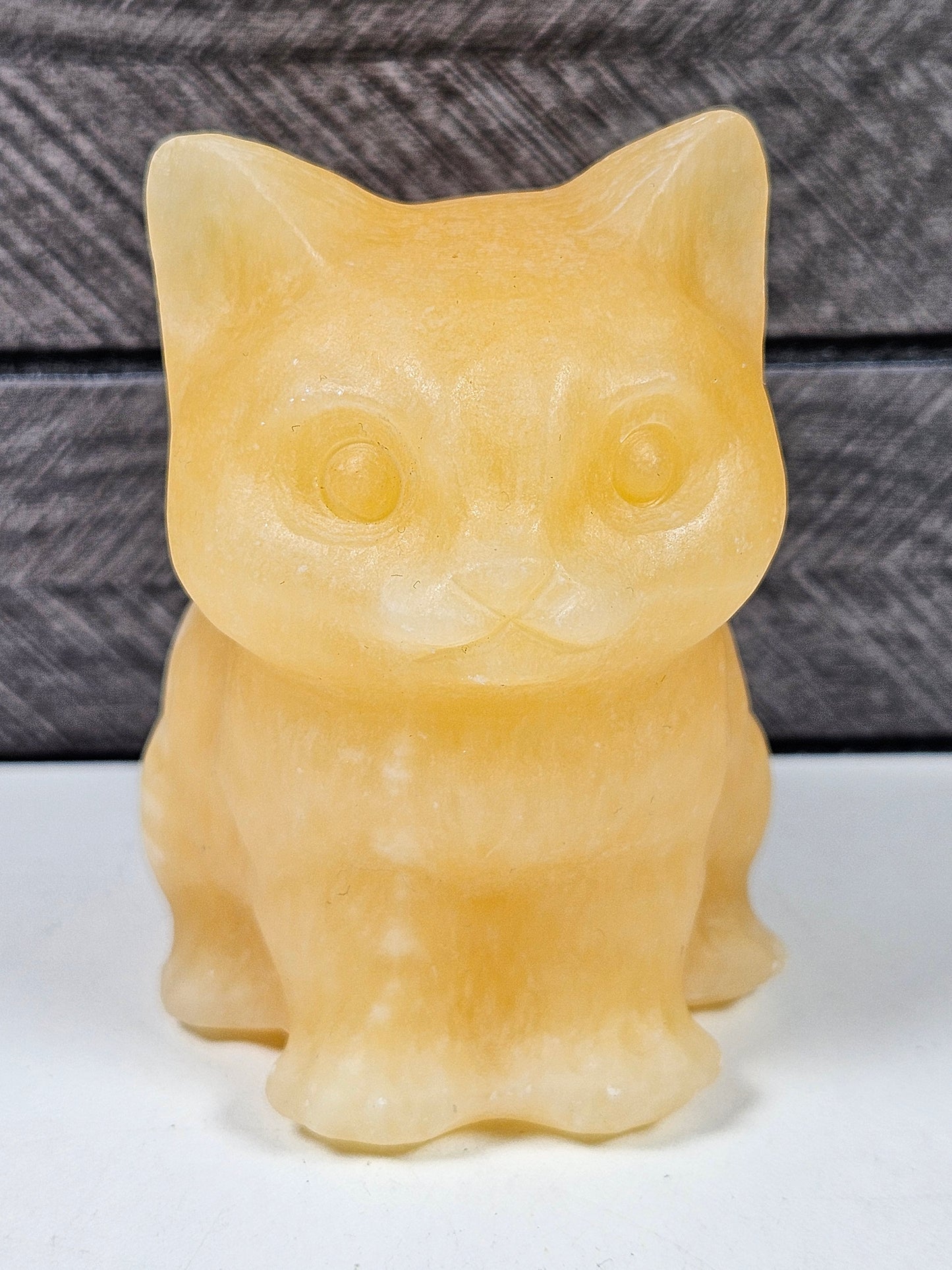 Honing Calciet Zittende Kat