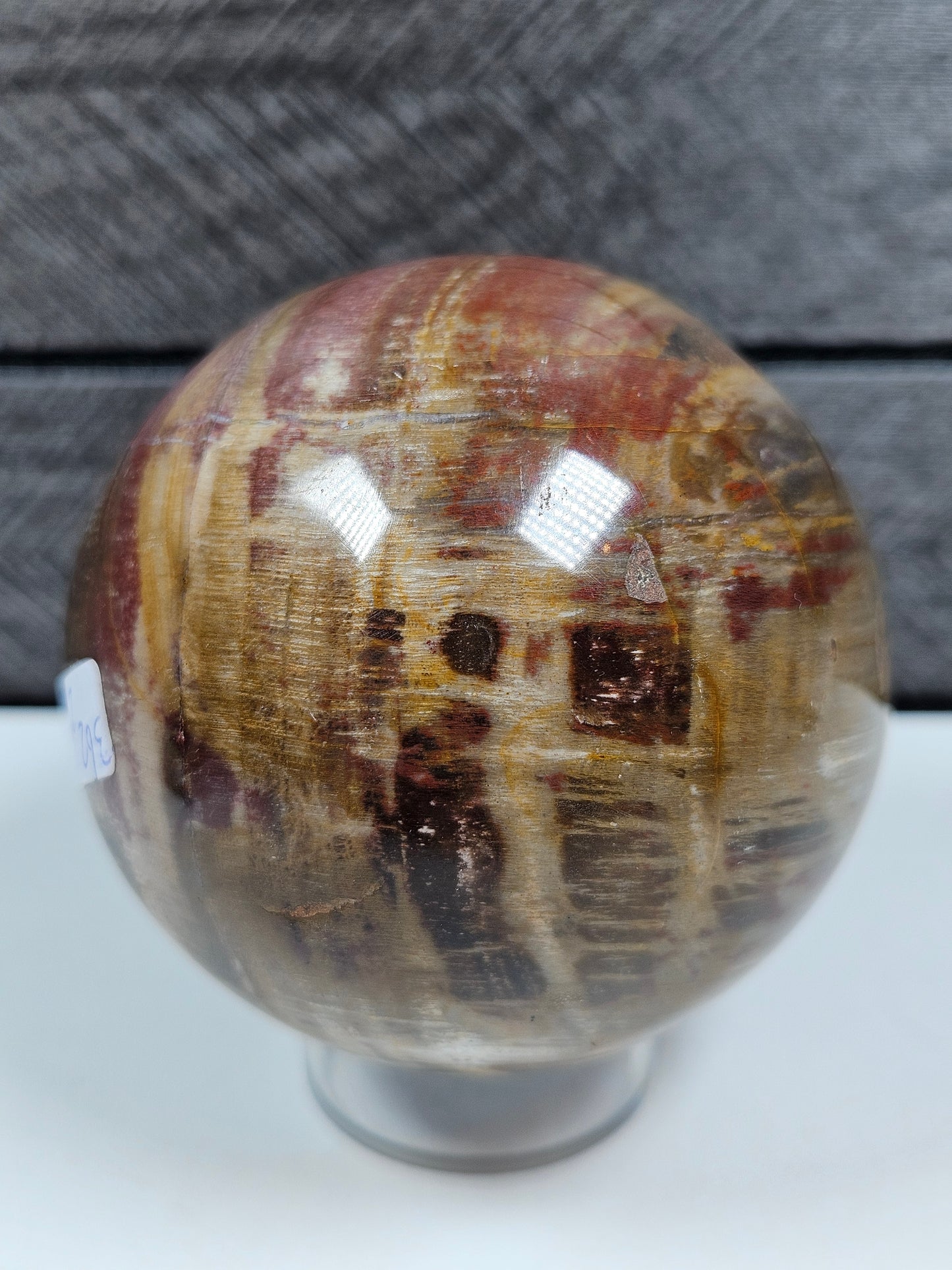 Versteend Hout bol 362 gram