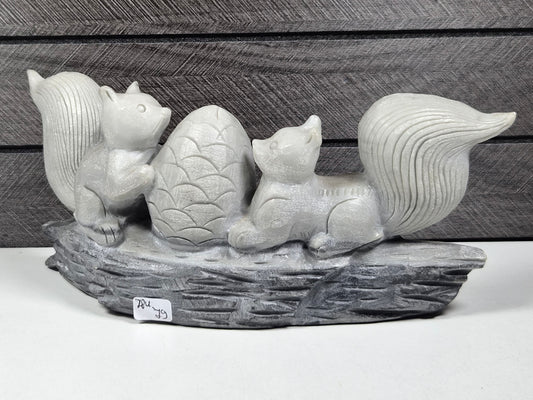 Tai Chi Steen Eekhoorns 784 gram