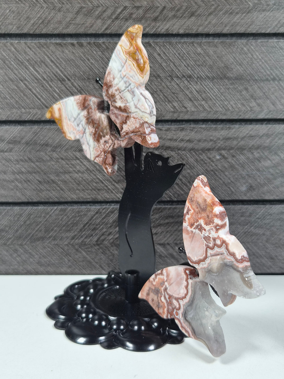 Crazy lace Vlinders met Kat