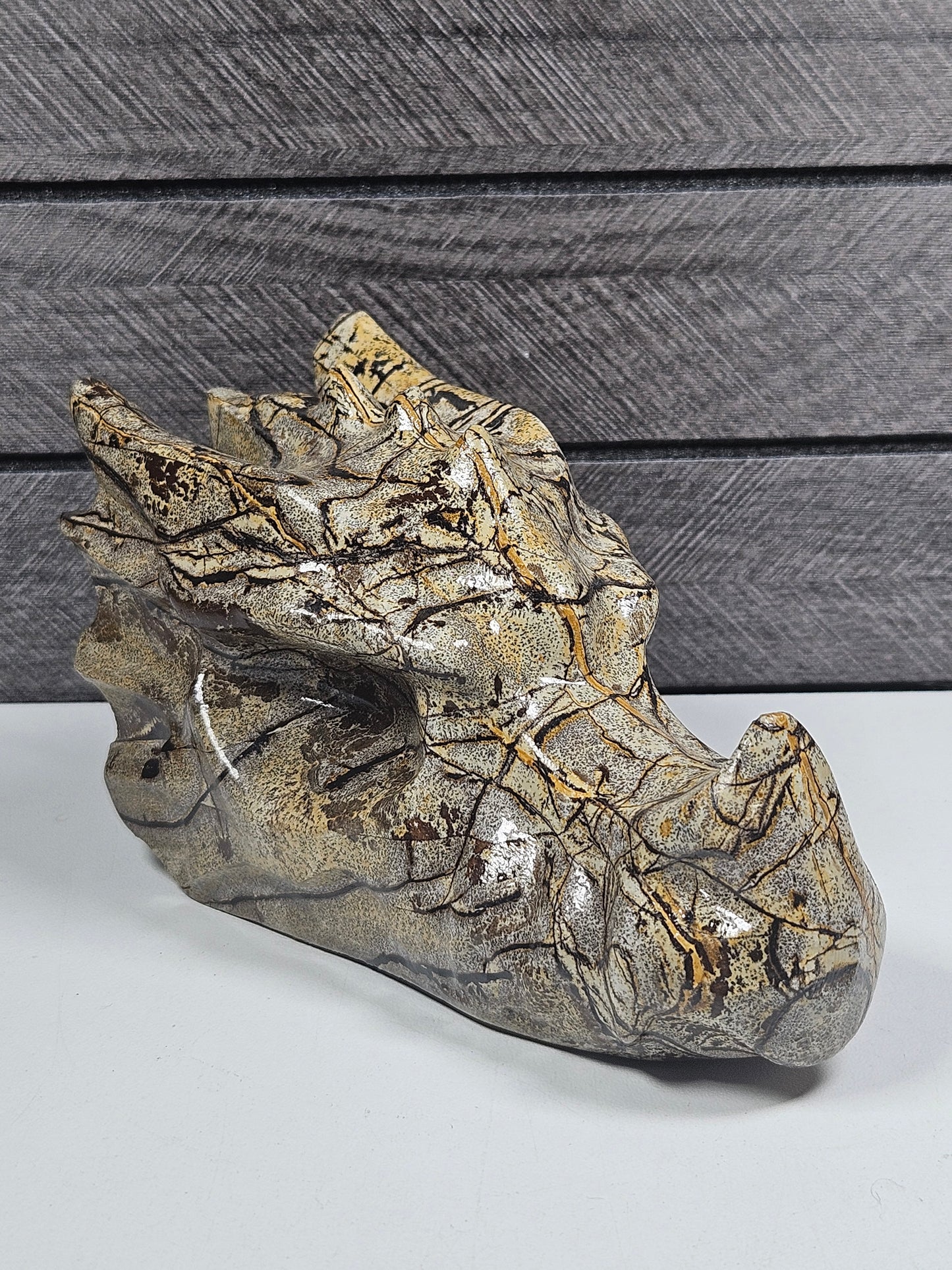 Landschap Jaspis Drakenkop 600 gram