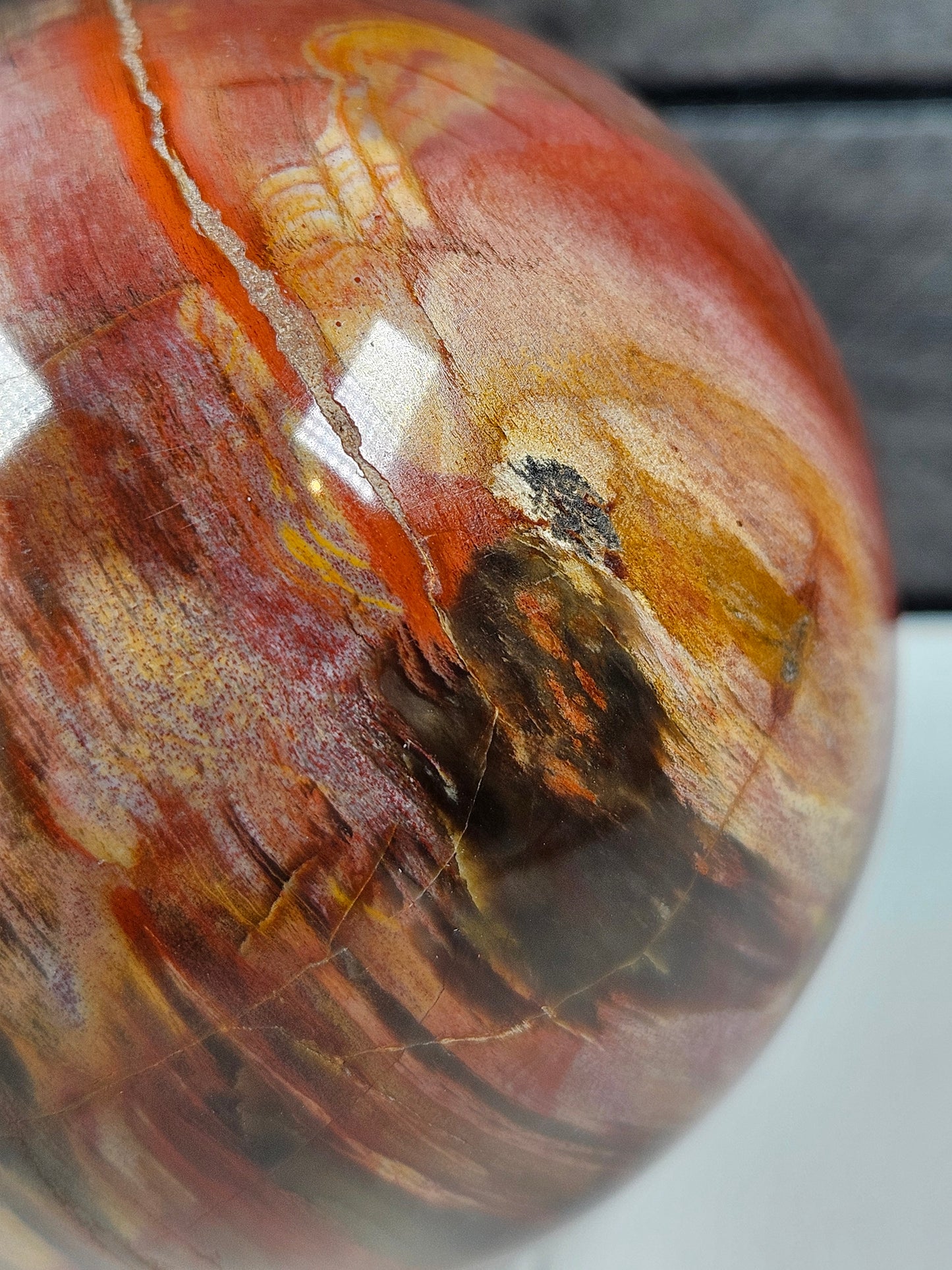Versteend Hout bol 386 gram