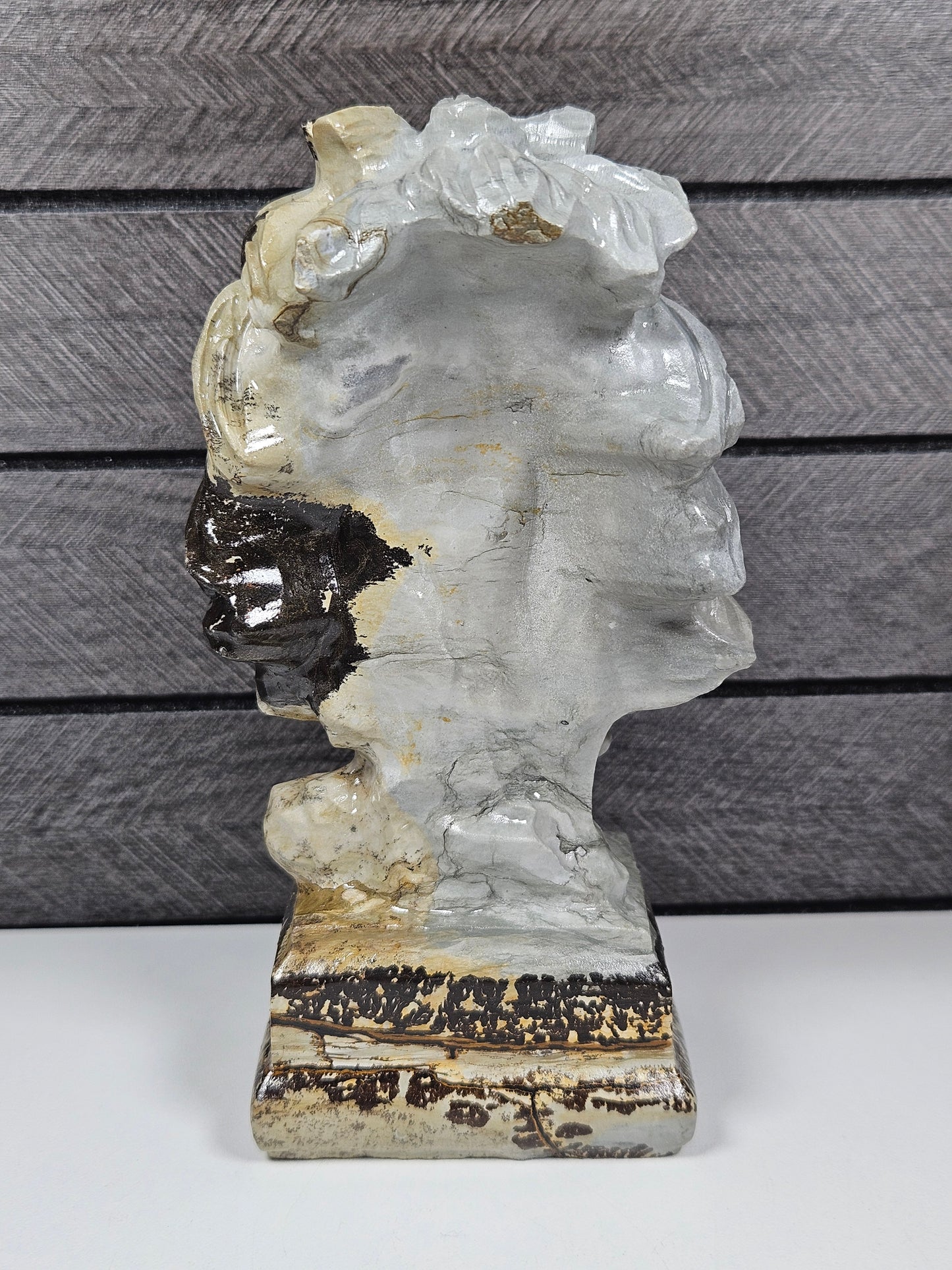 Landschap jaspis Leeuw 728 gram