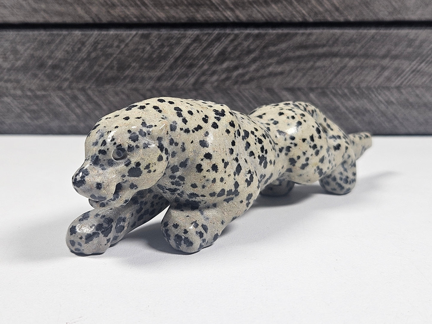 Dalmatier Jaspis Luipaard
