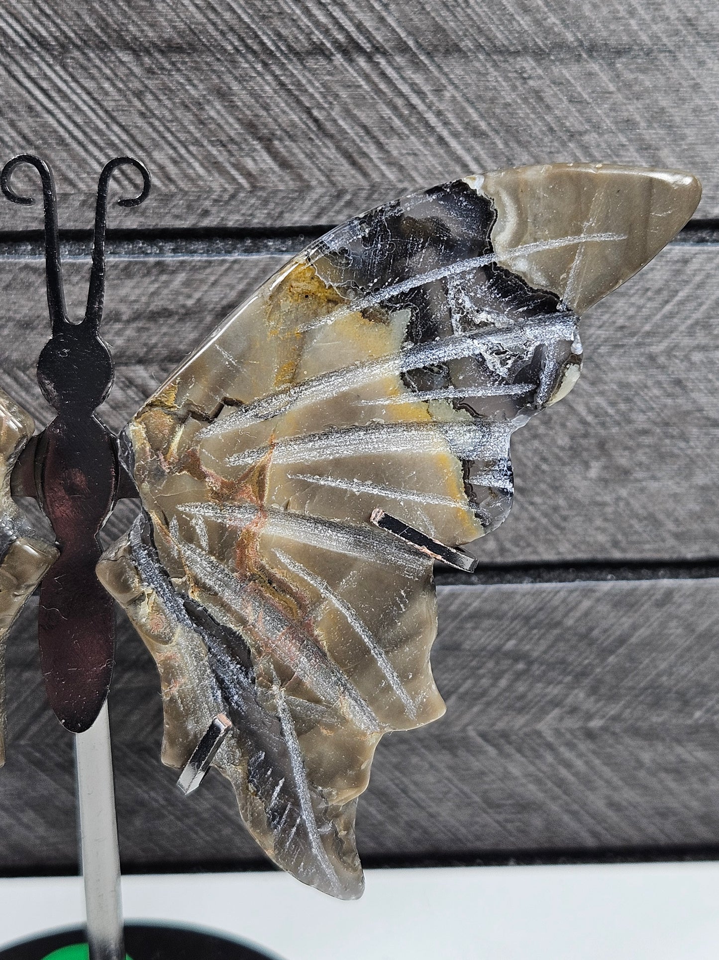 Vulkaan agaat vlinder Q3