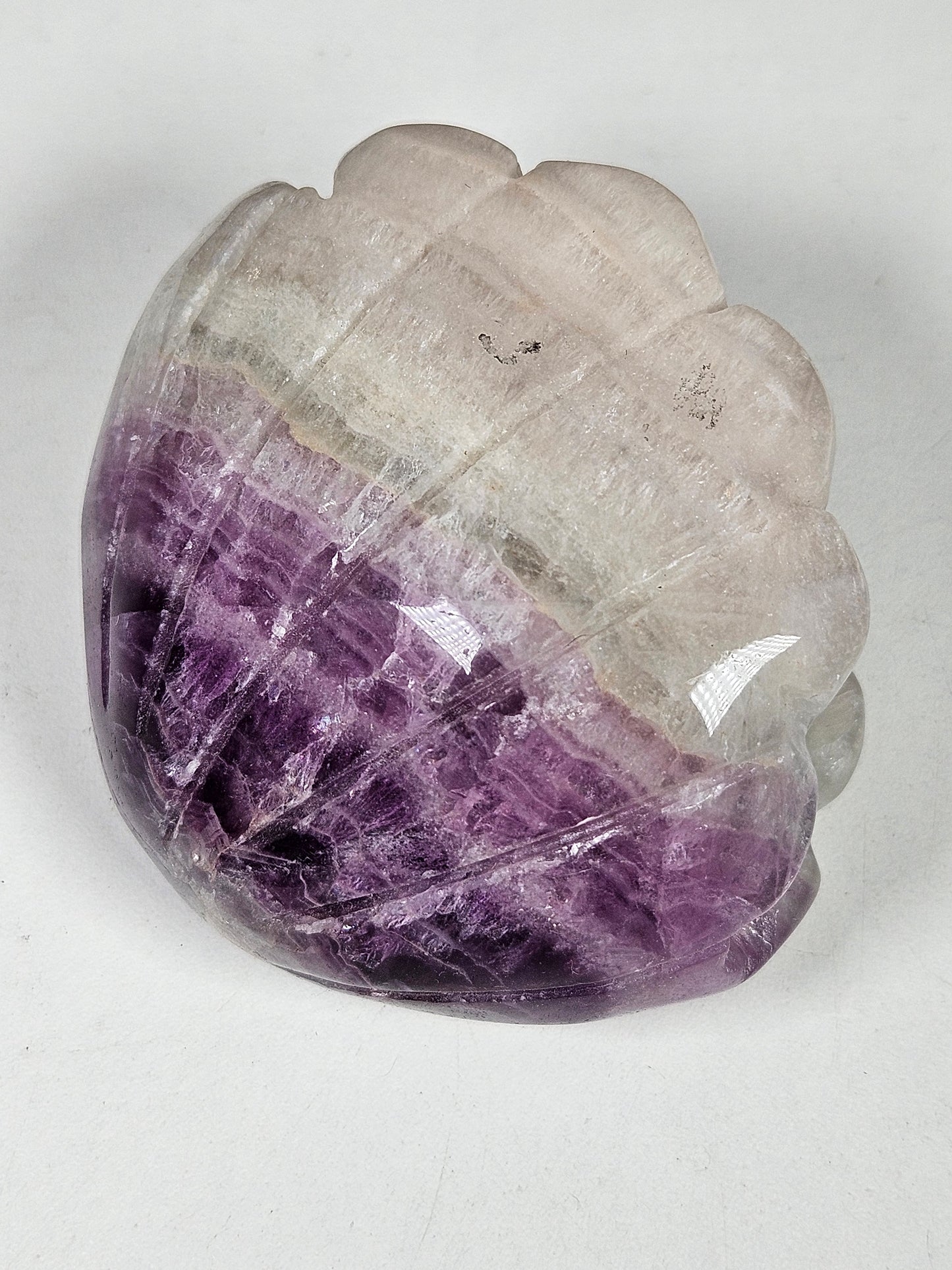Fluoriet schelp 310 gram