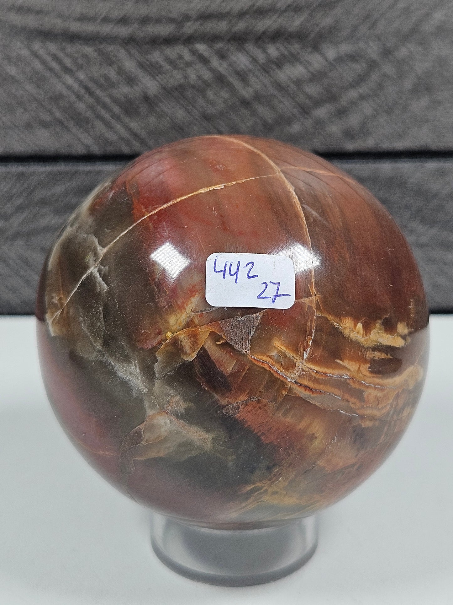 Versteend Hout bol 442 gram