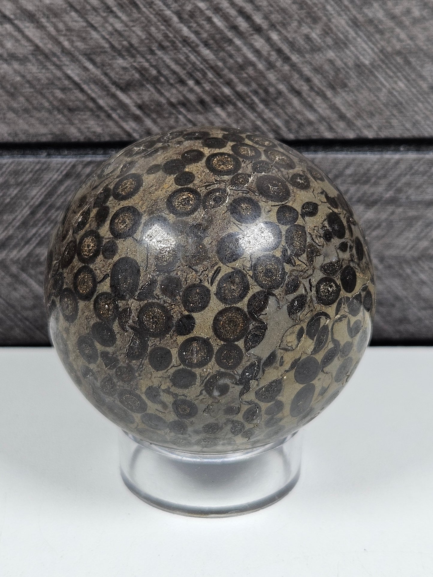 Leopard Skin Jasper bol 214 gram