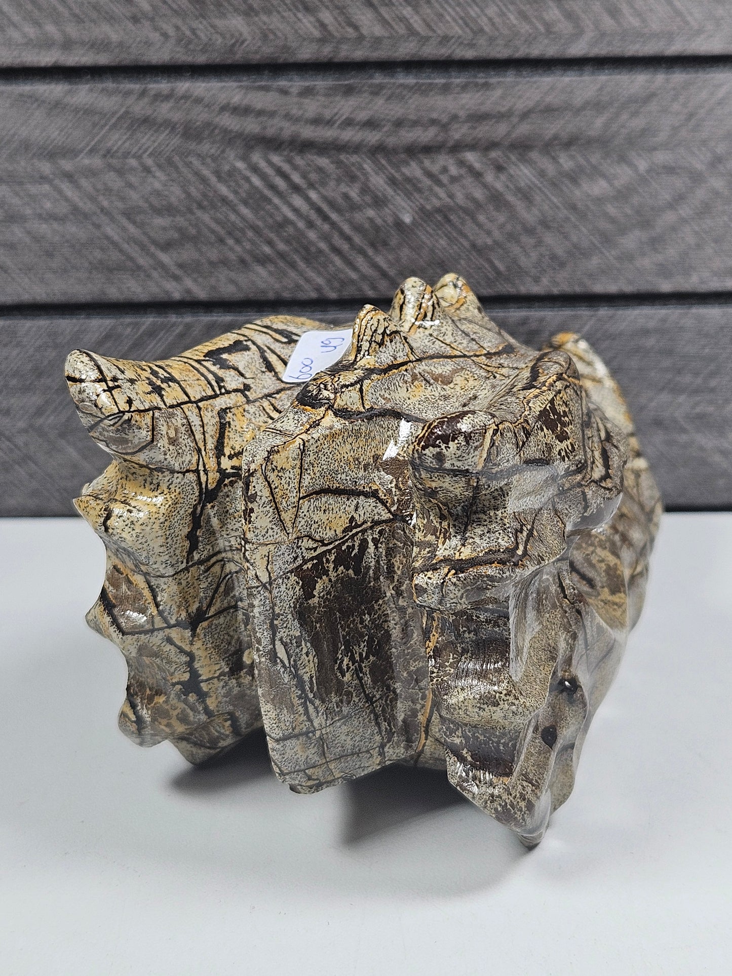 Landschap Jaspis Drakenkop 600 gram